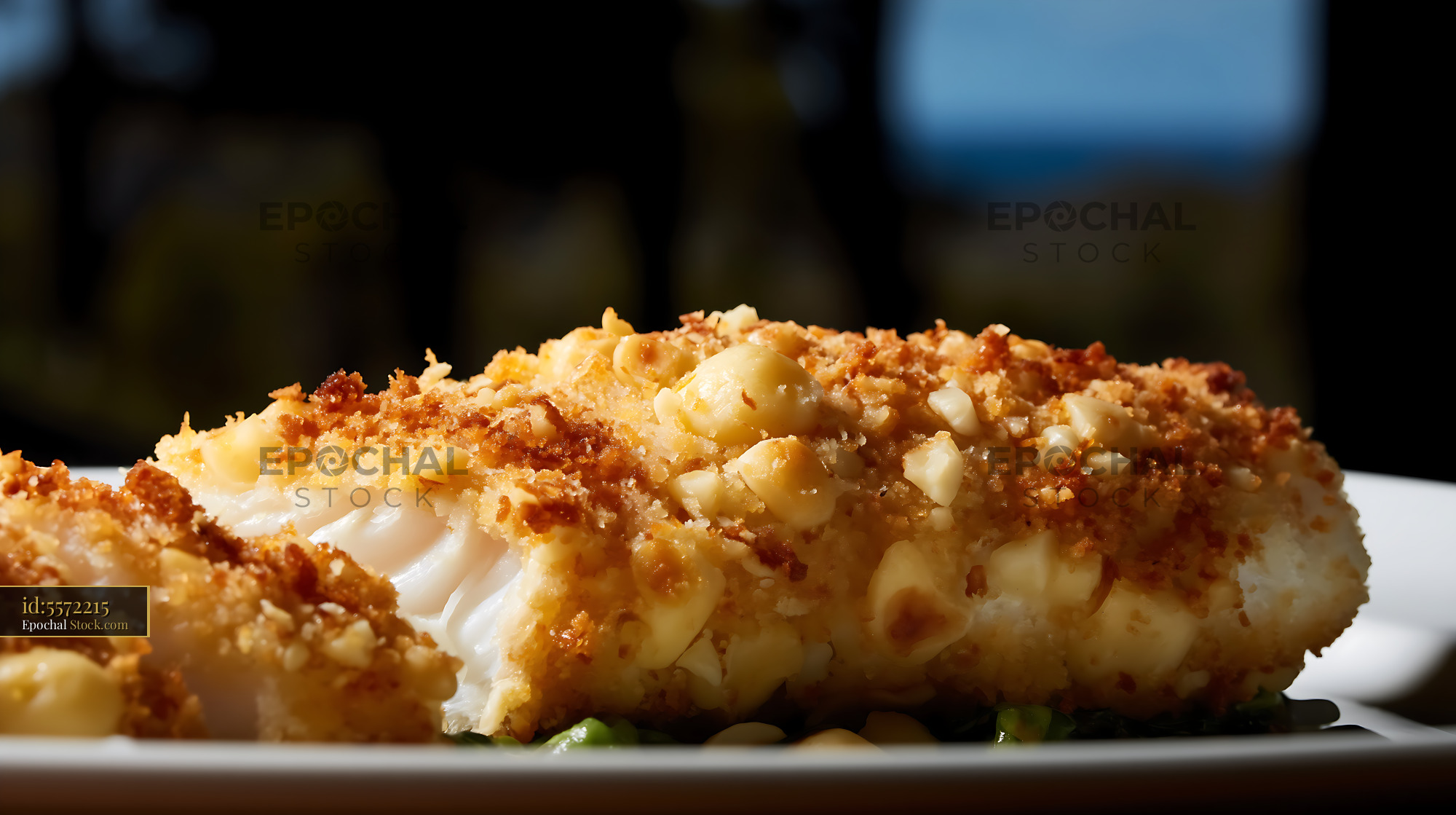 Macadamia Crusted Fish Fillet on White Plate - stock photo