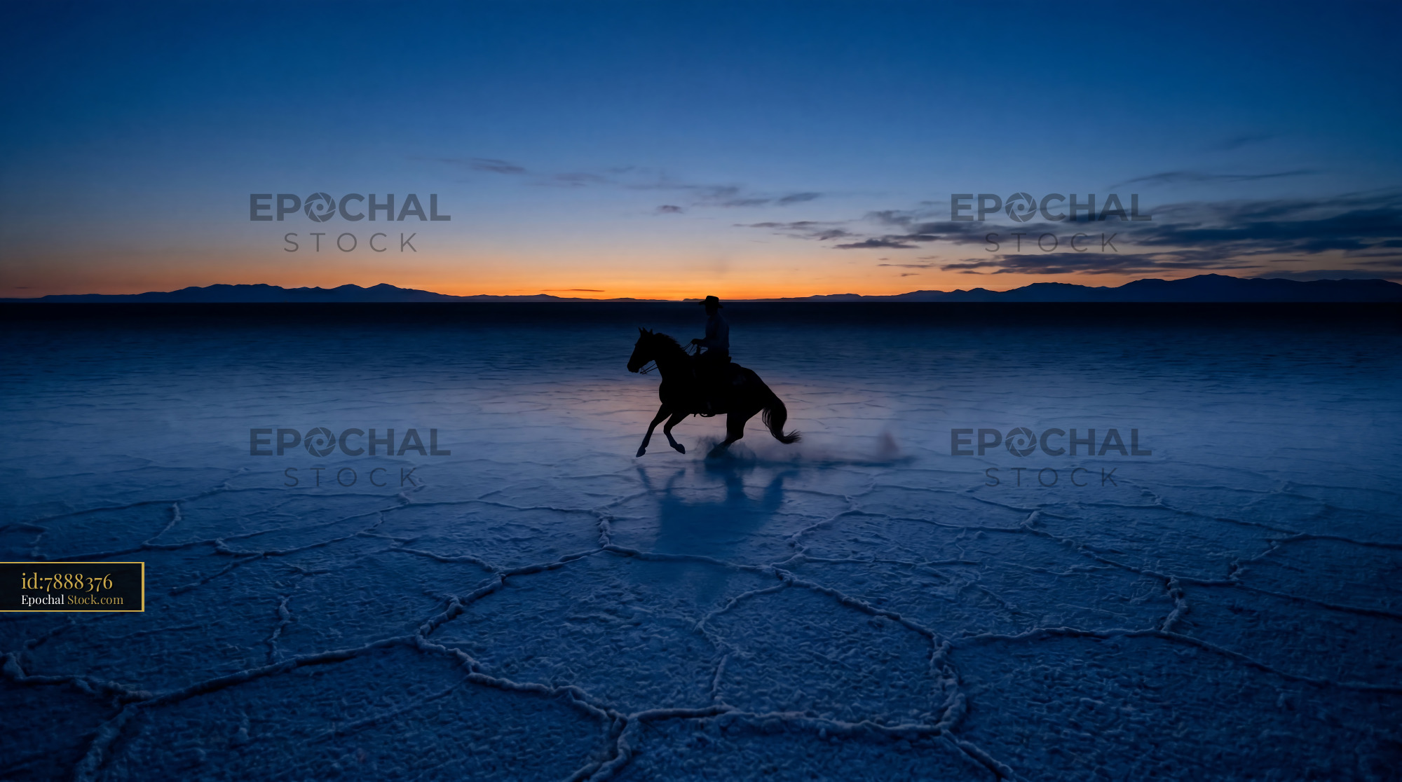 Twilight Reining Horse Silhouette Salt Flat - stock photo