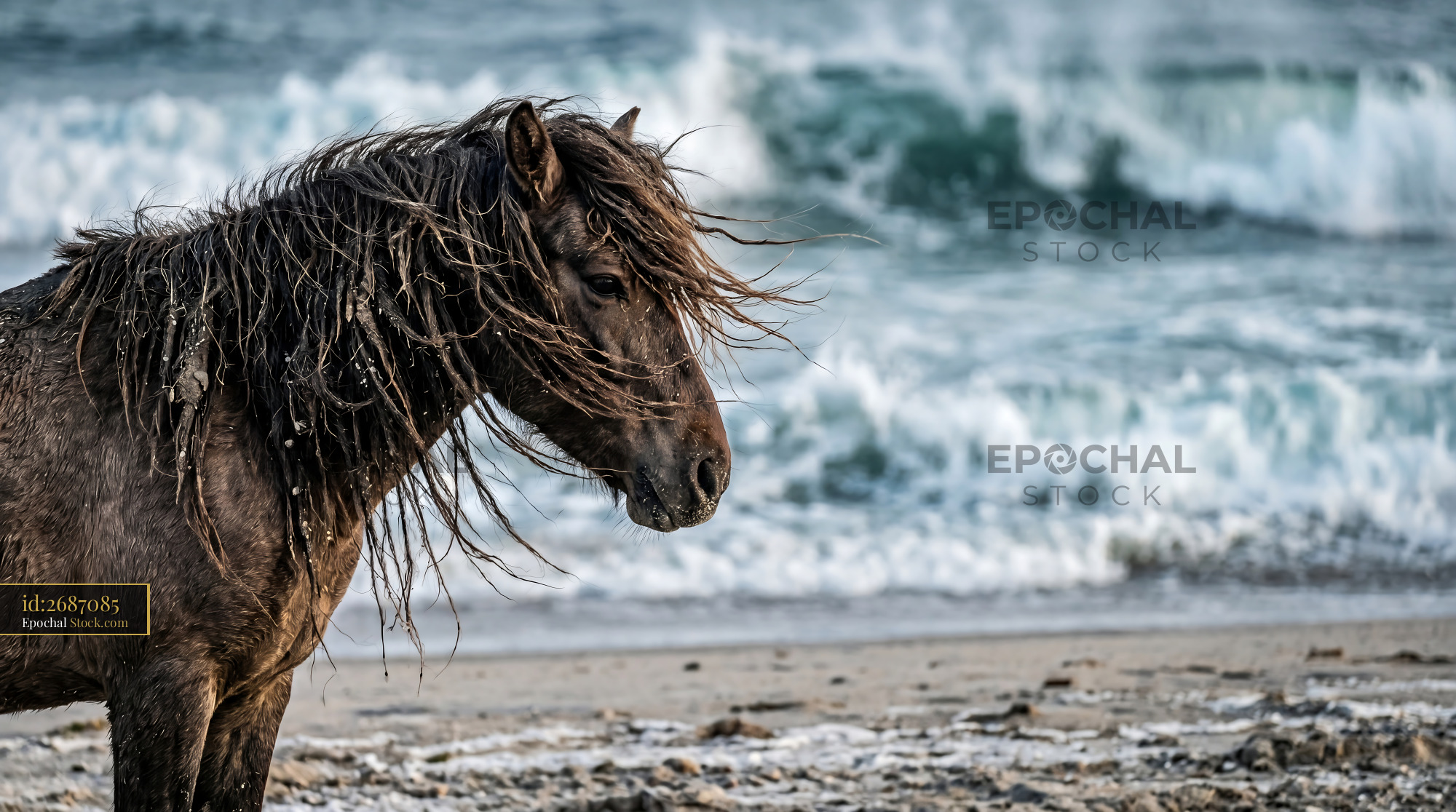 Windblown Wild Mustang Mane Coastal Texture - stock photo