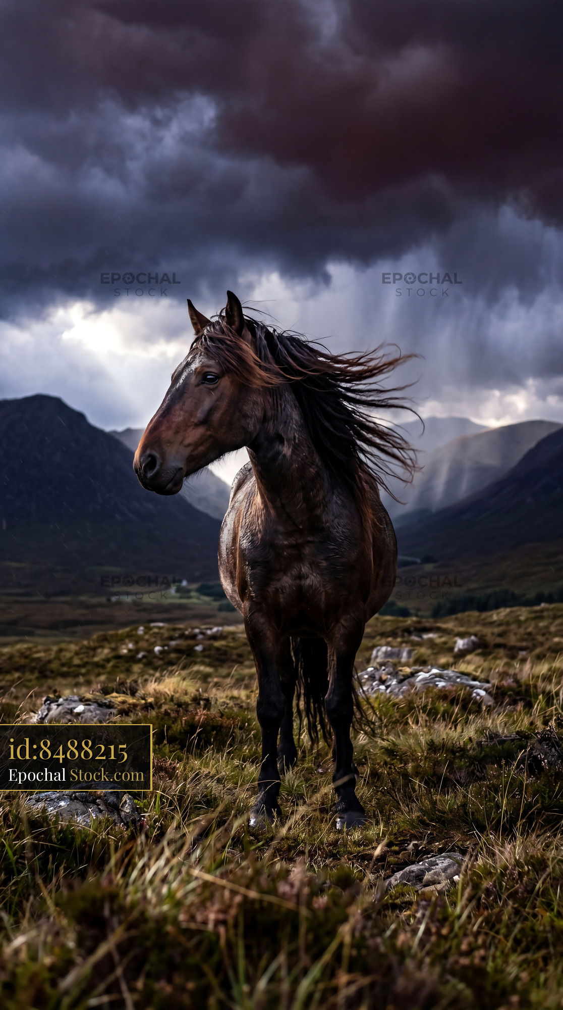 Moody Dark Bay Horse Blowing Mane Thunderstorm - stock photo