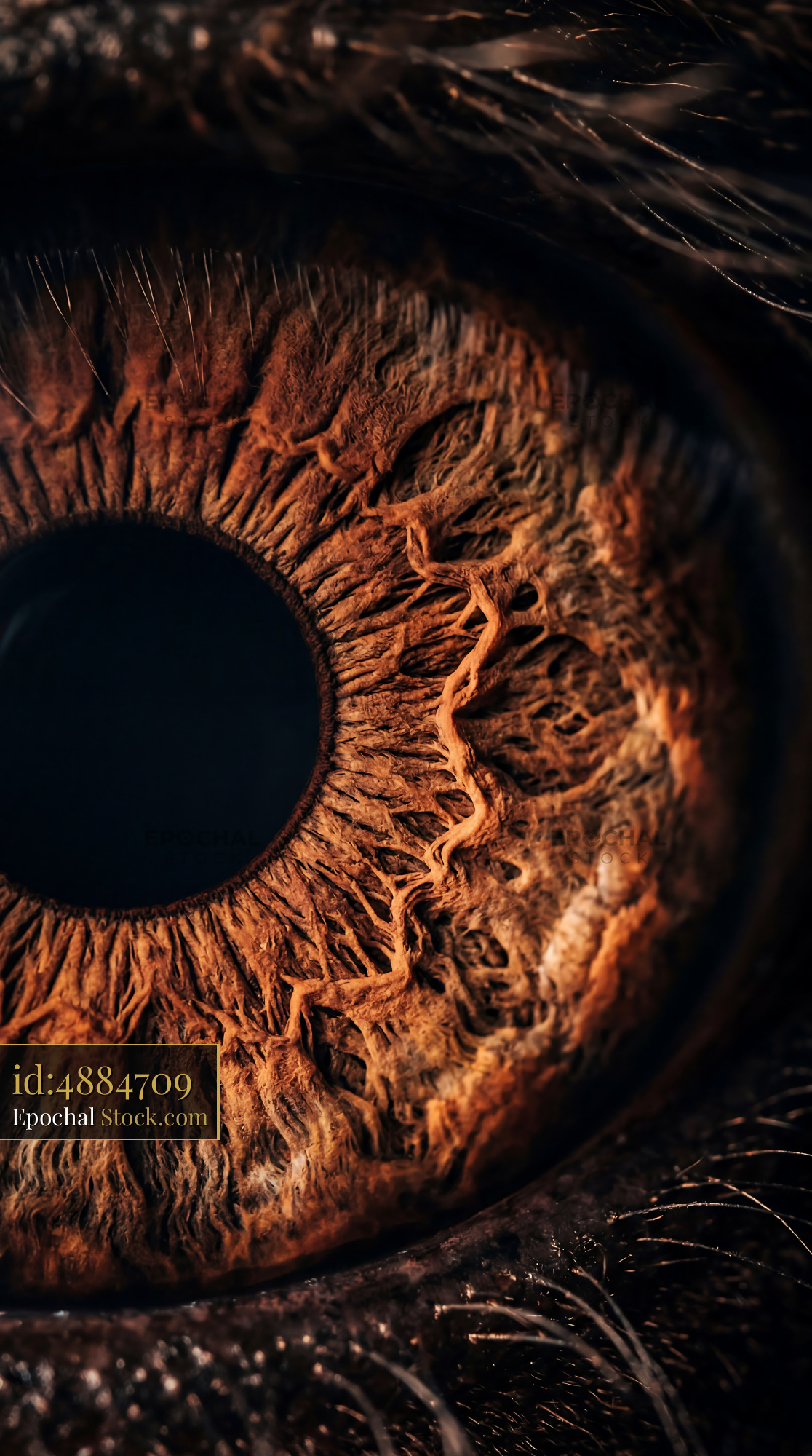 Macro Horse Eye Iris Abstract Canyon - stock photo