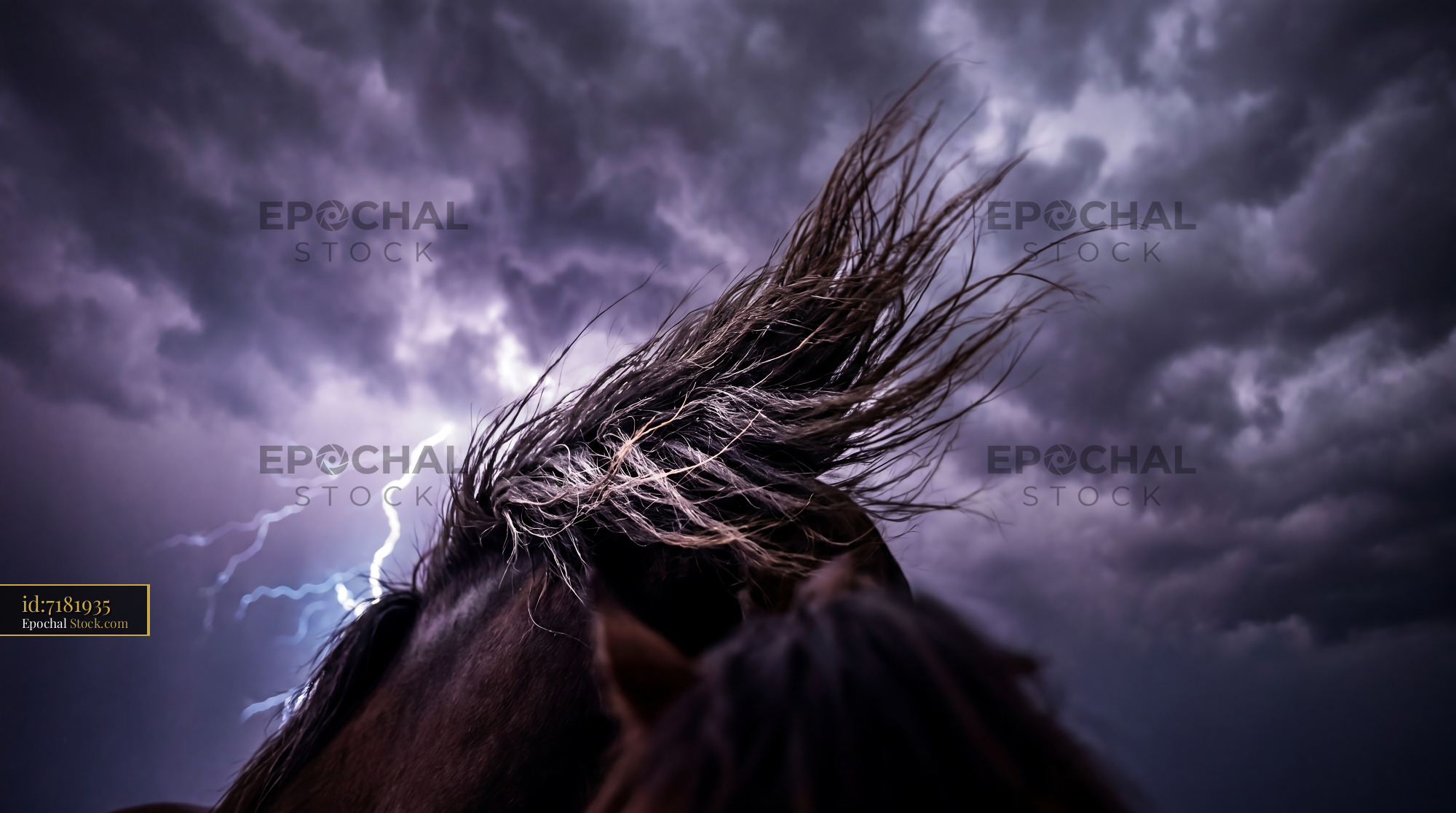 Stormy Wild Horse Mane in Purple Lightning Sky