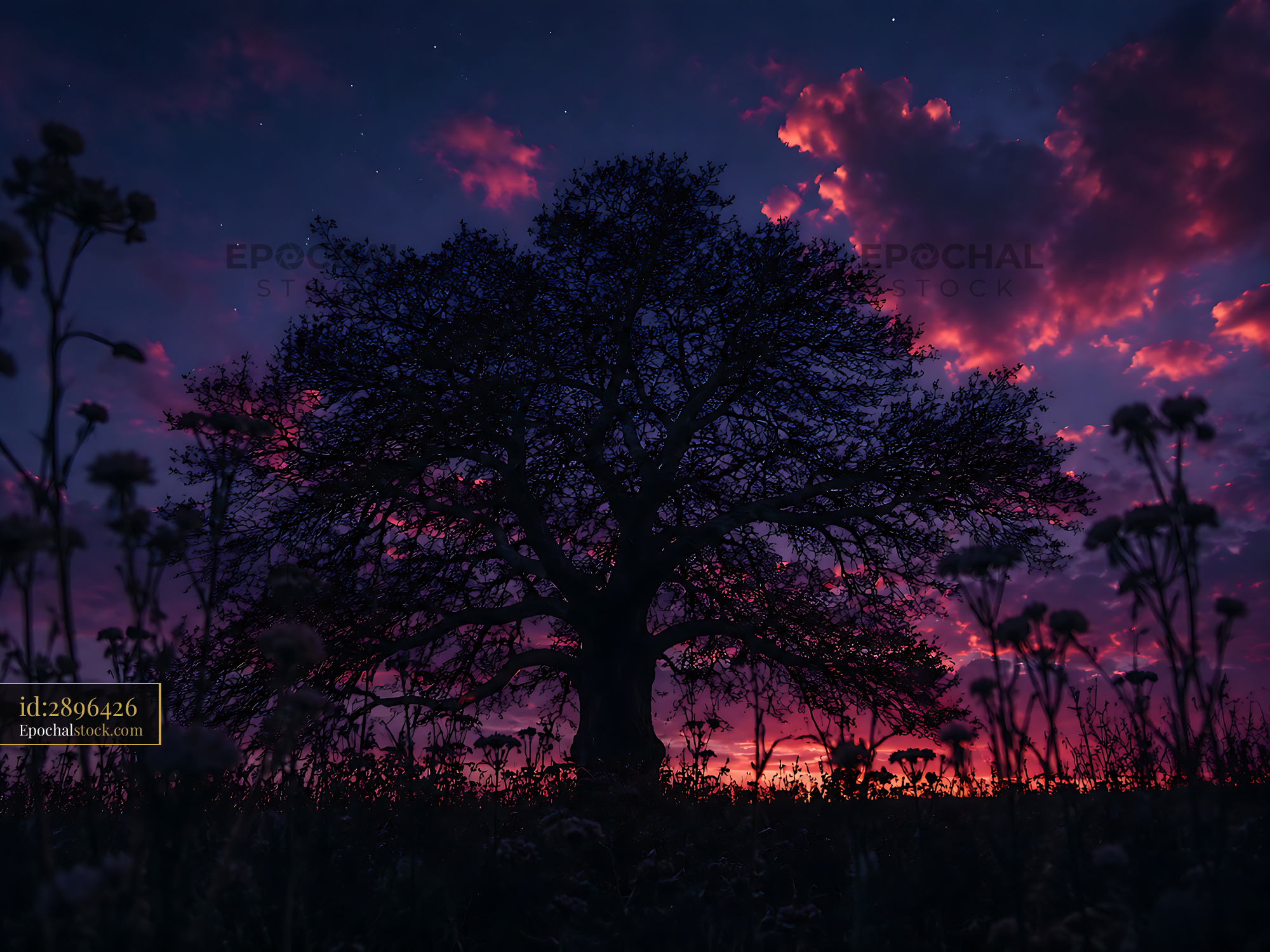 Watermarked full-resolution preview of Sunset behind a large tree with flowers in the foreground