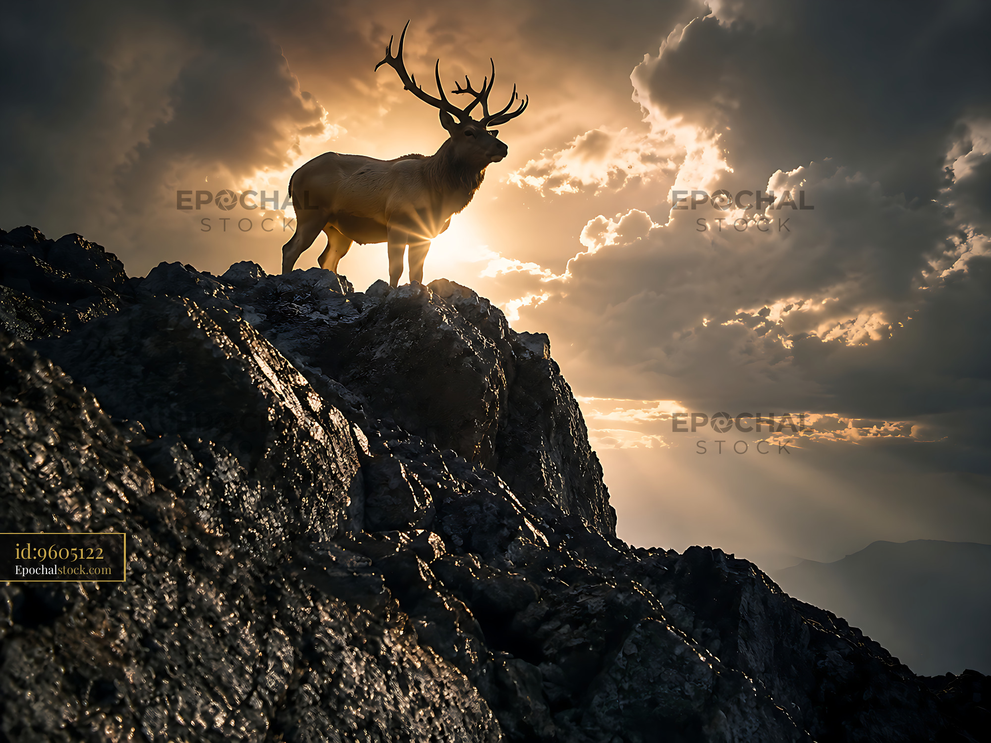 Watermarked full-resolution preview of Stag standing on rocky ledge during sunset