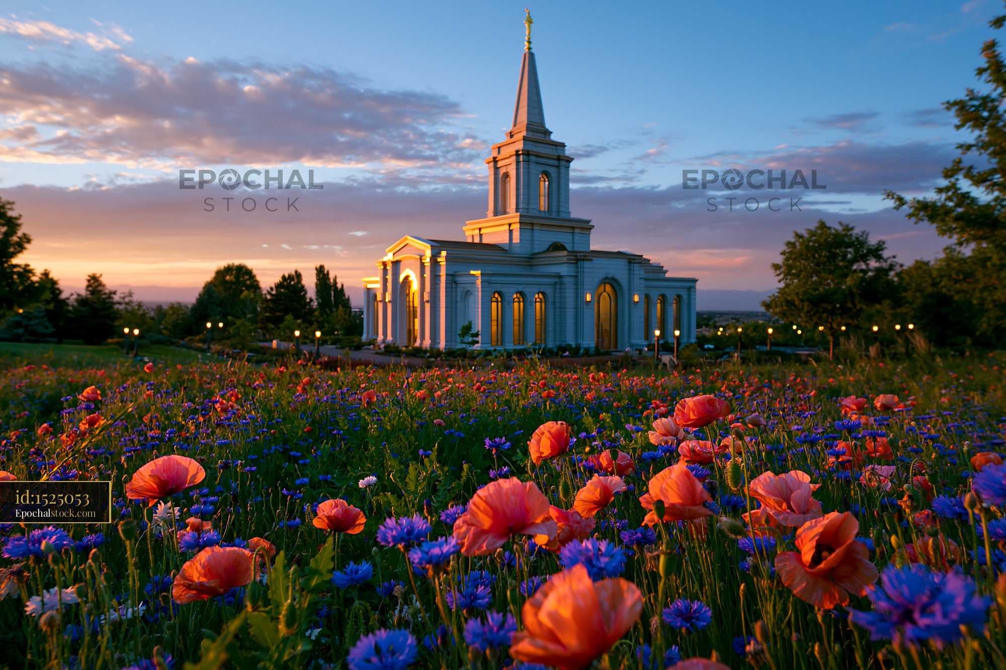 Watermarked full-resolution preview of Flowers around a church at sunset in a quiet park setting