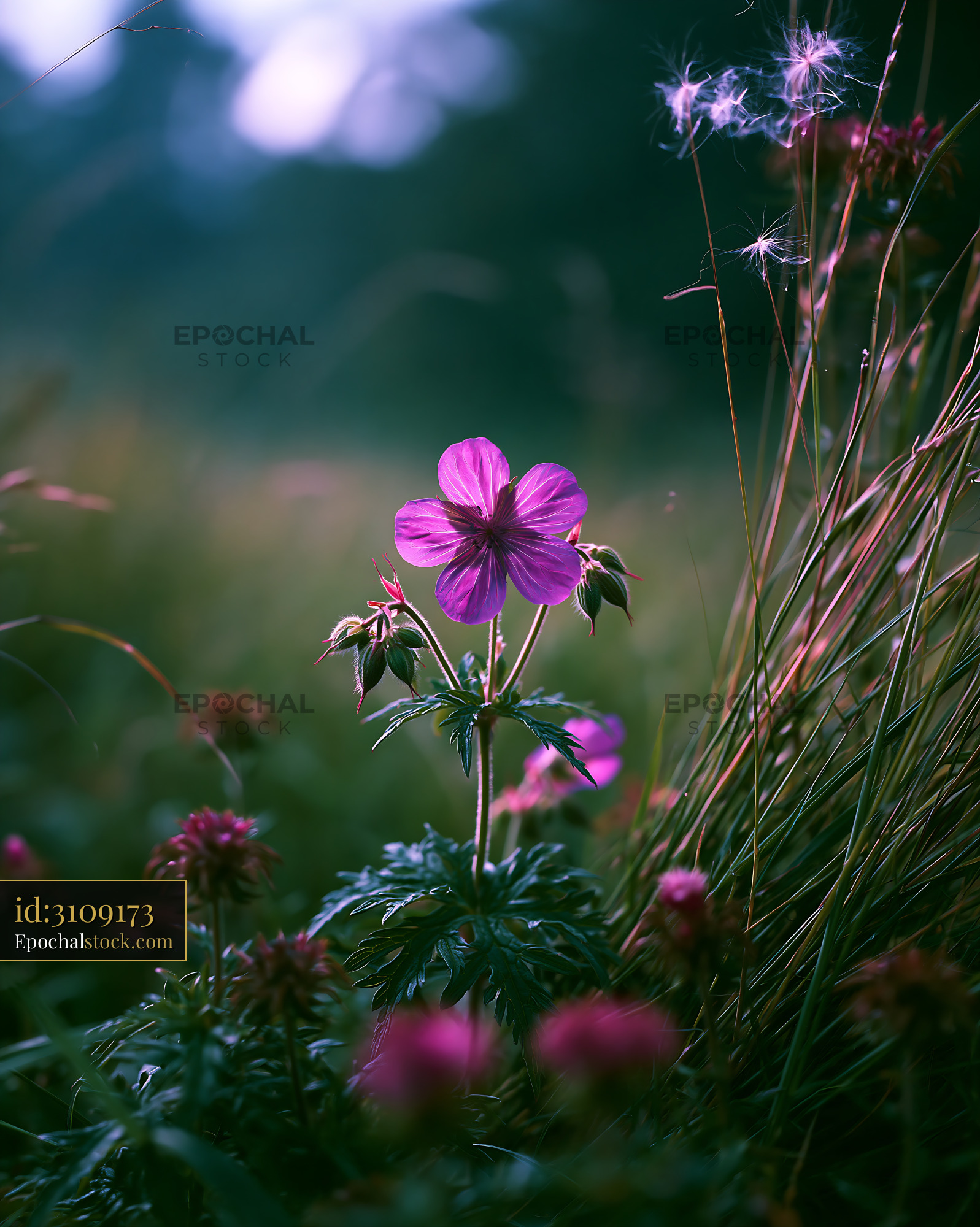 Watermarked full-resolution preview of Pink flower surrounded by green grass in a natural setting
