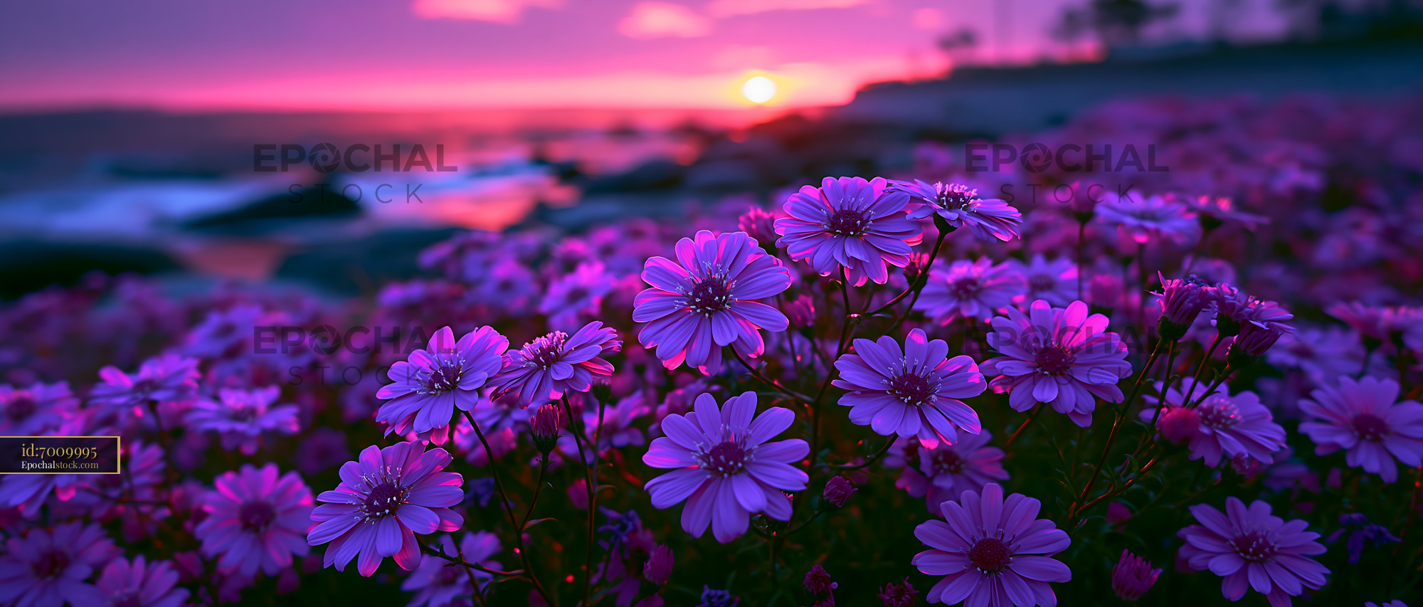 Watermarked full-resolution preview of Vibrant flowers at sunset near the shore