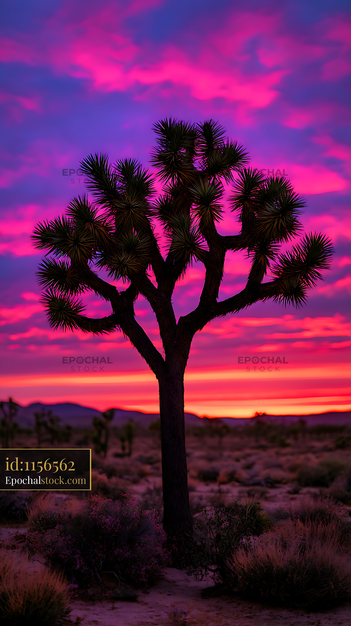 Watermarked full-resolution preview of Joshua tree in a colorful desert sunset