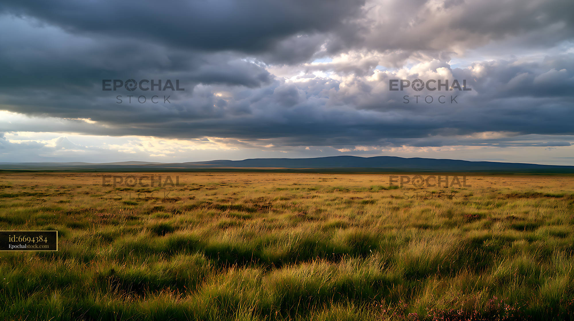 Watermarked full-resolution preview of Wide grassy field under a cloudy sky in the afternoon