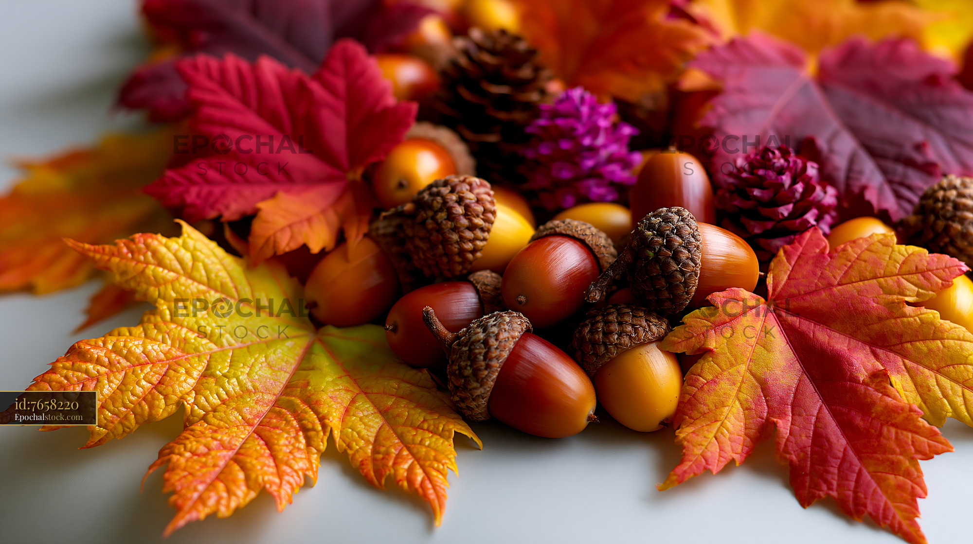 Watermarked full-resolution preview of Autumn leaves and acorns on a table arrangement