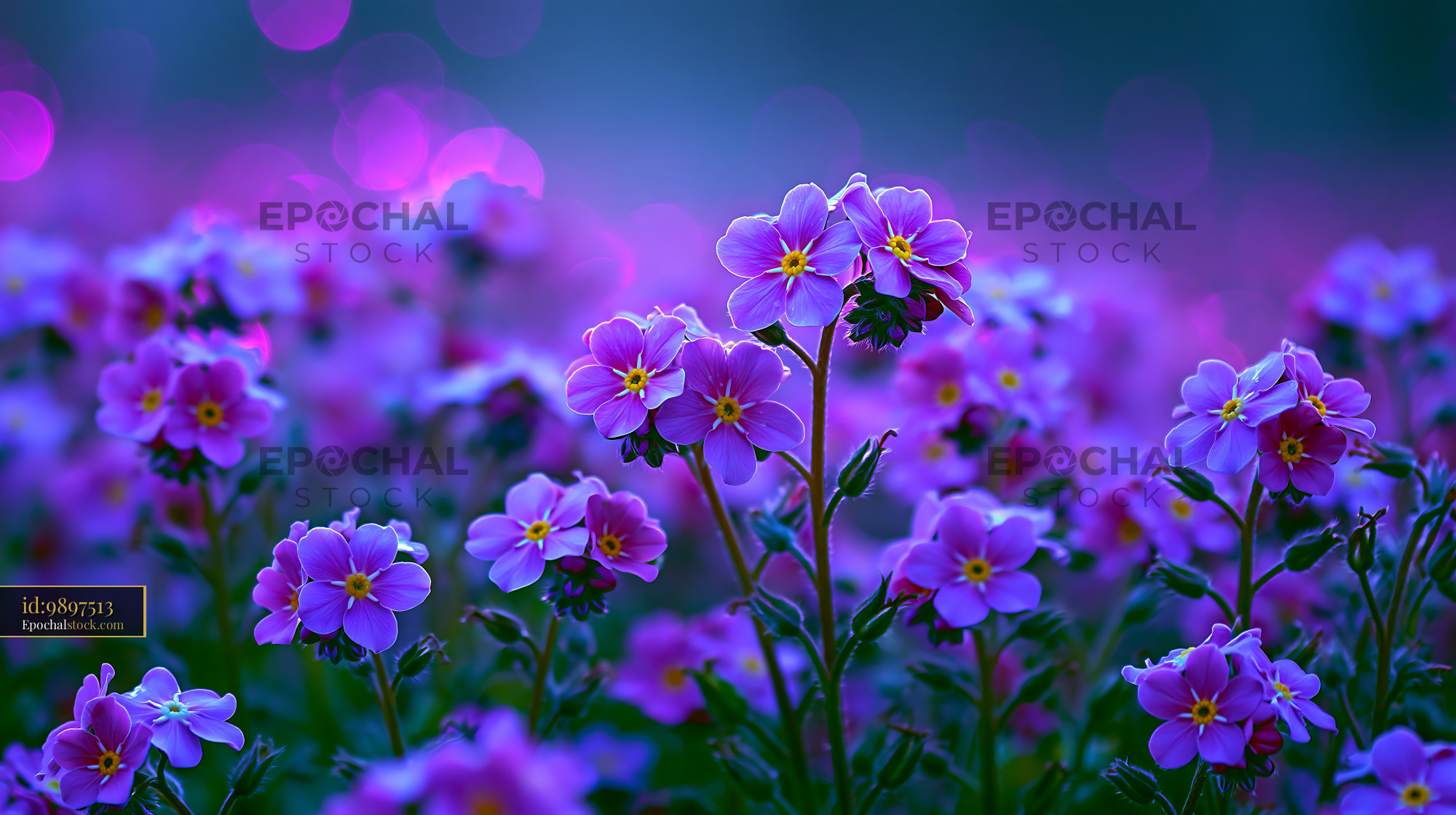 Watermarked full-resolution preview of Purple flowers in a vibrant garden during spring time