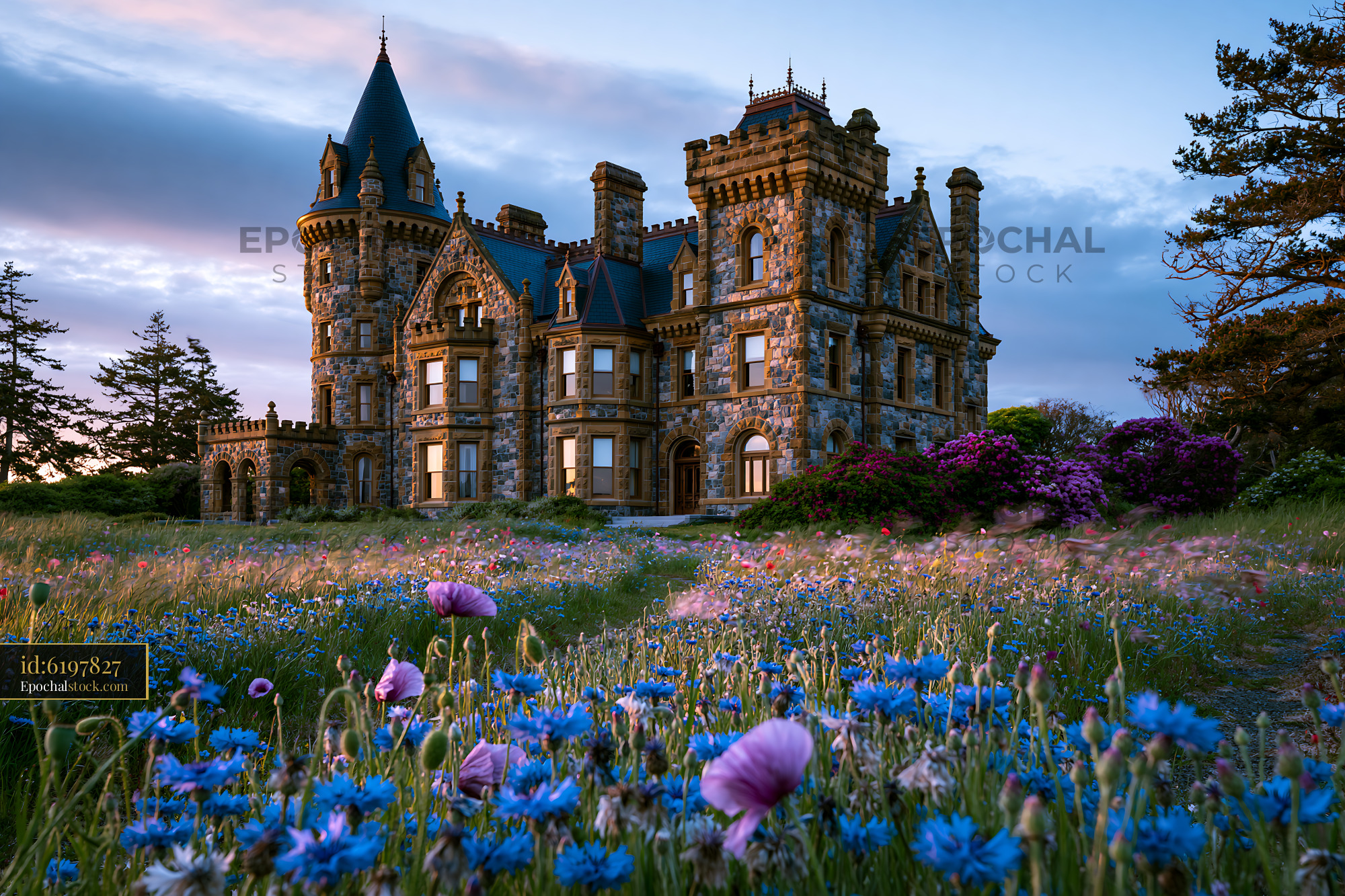 Watermarked full-resolution preview of Historic stone mansion surrounded by colorful wildflowers