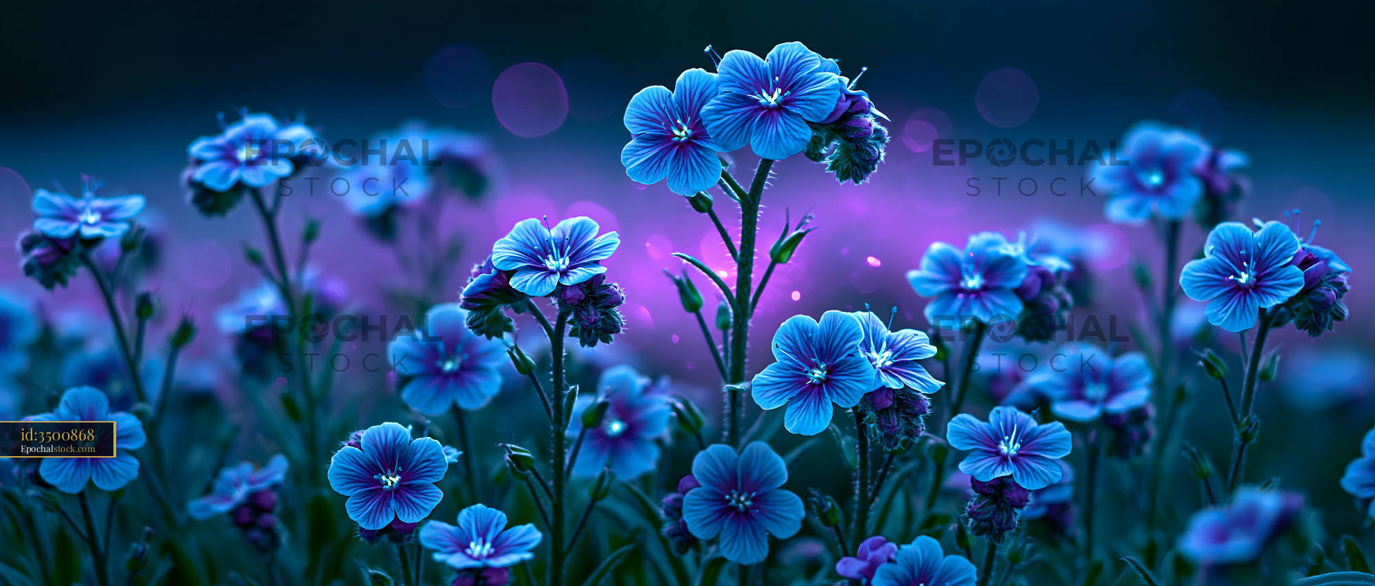 Watermarked full-resolution preview of Blossoming blue flowers in twilight setting