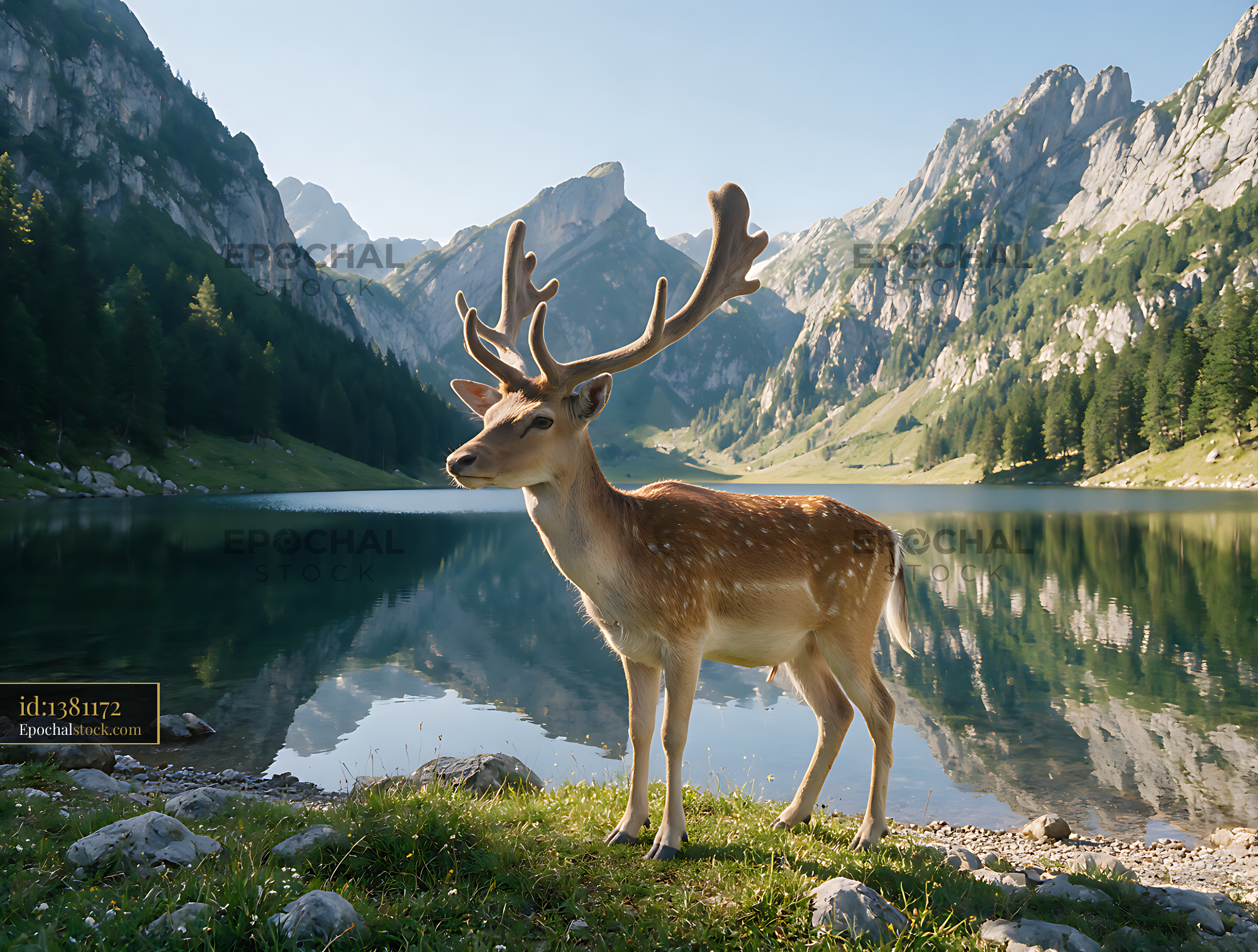 Watermarked full-resolution preview of Antlered deer near mountain lake and rocky peaks