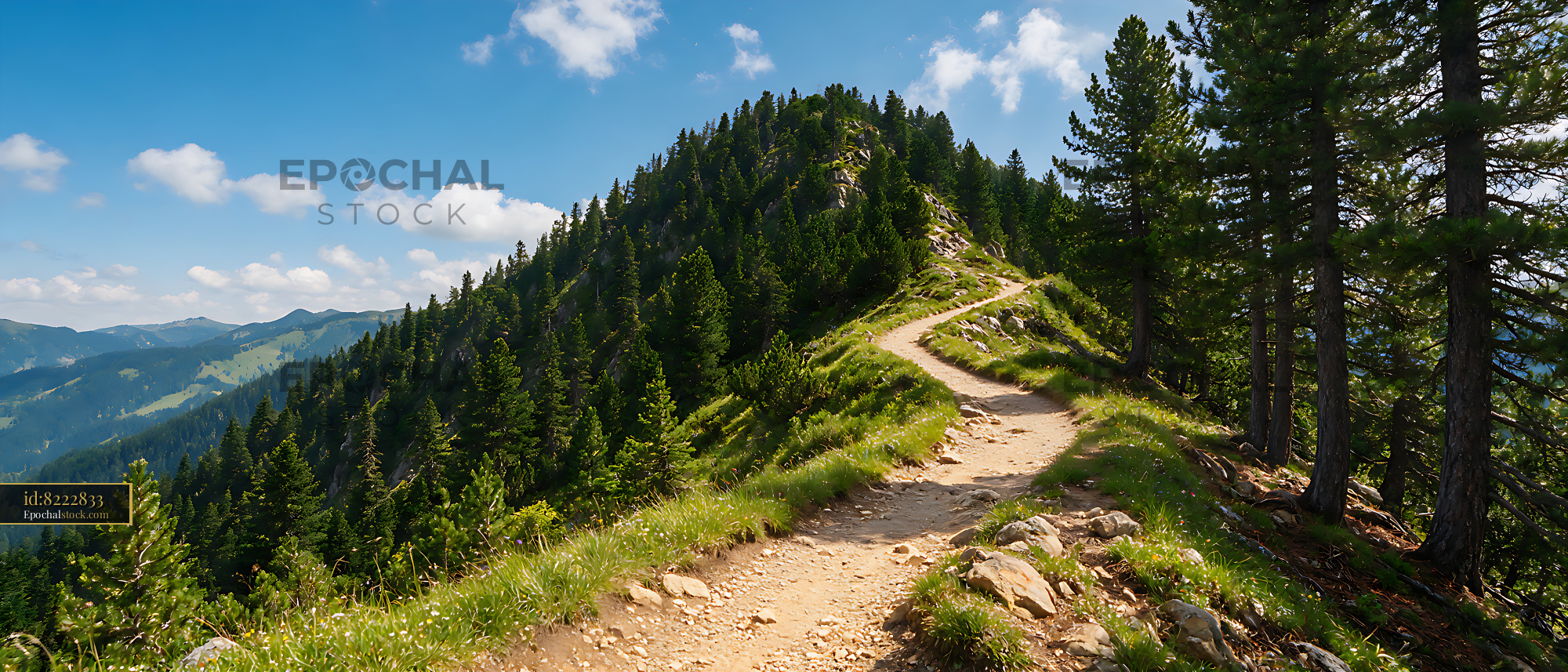 Watermarked full-resolution preview of Rocky mountain hiking path through pine trees