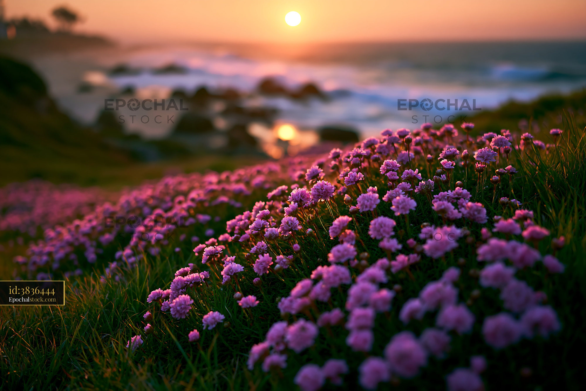 Watermarked full-resolution preview of Sunset over ocean waves with flowers in the foreground