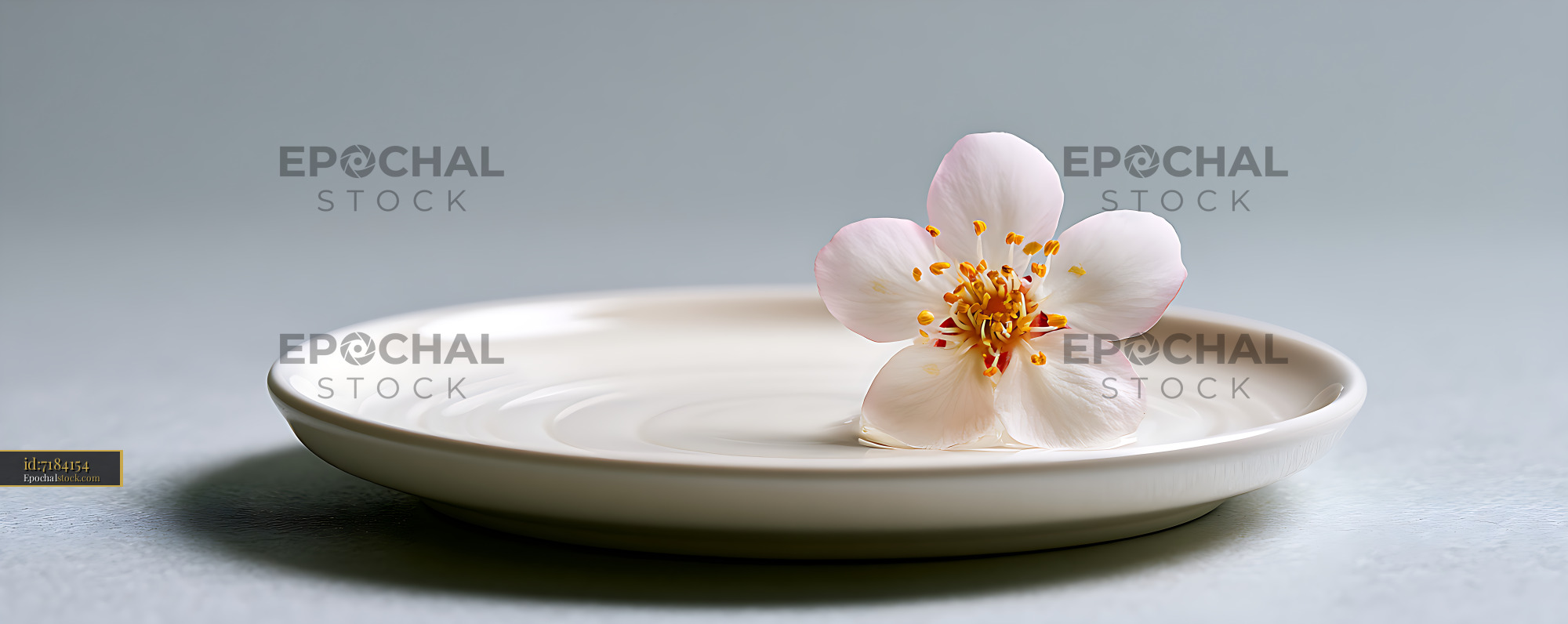 Watermarked full-resolution preview of White flower resting in water-filled ceramic dish
