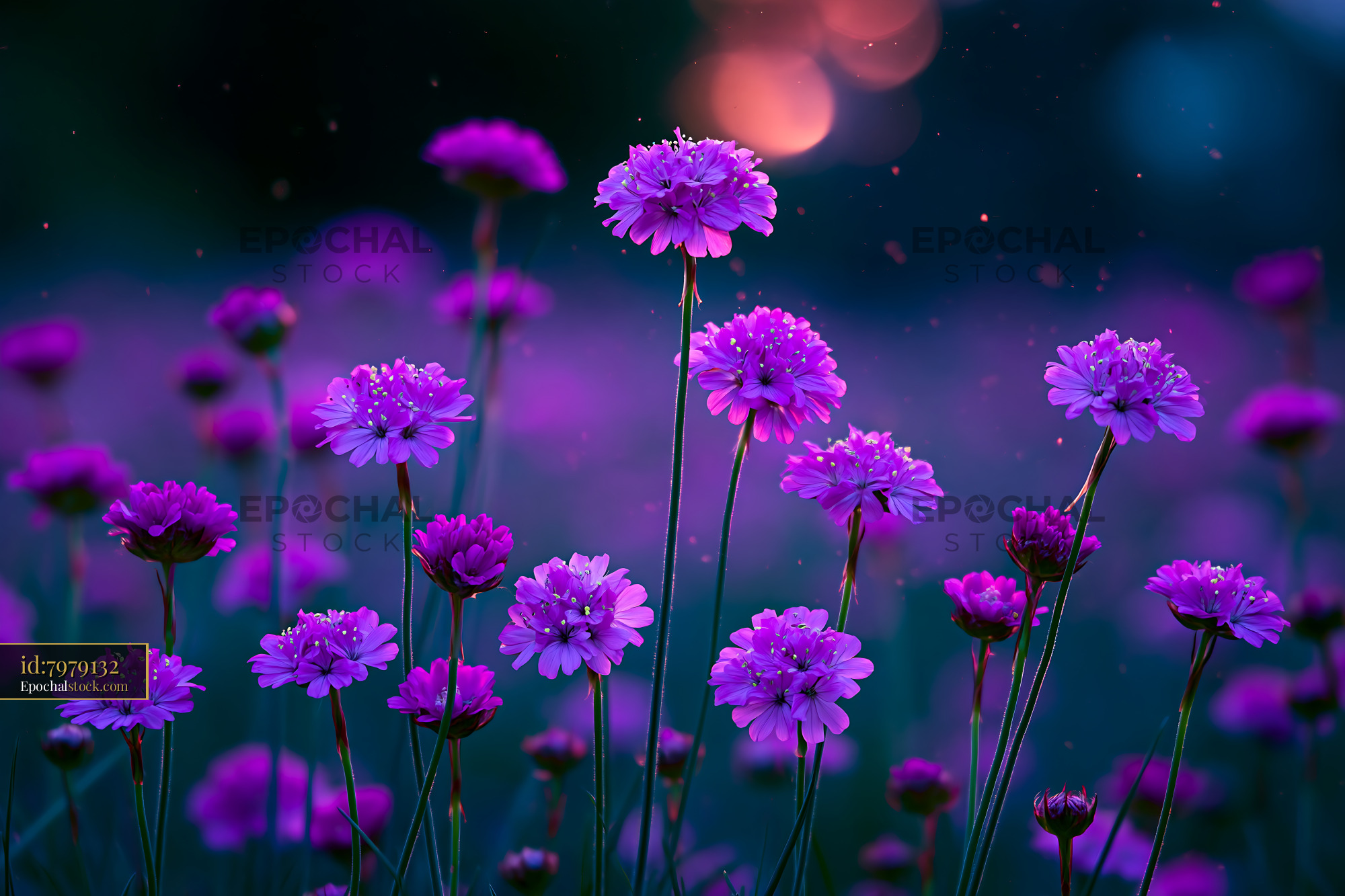 Watermarked full-resolution preview of Vibrant purple flowers in a serene garden setting