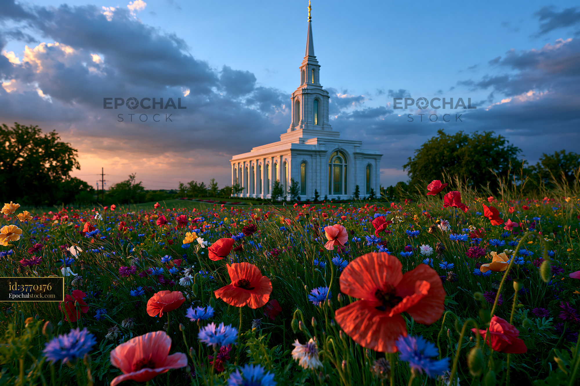 Watermarked full-resolution preview of Colorful flowers surround a church at sunset