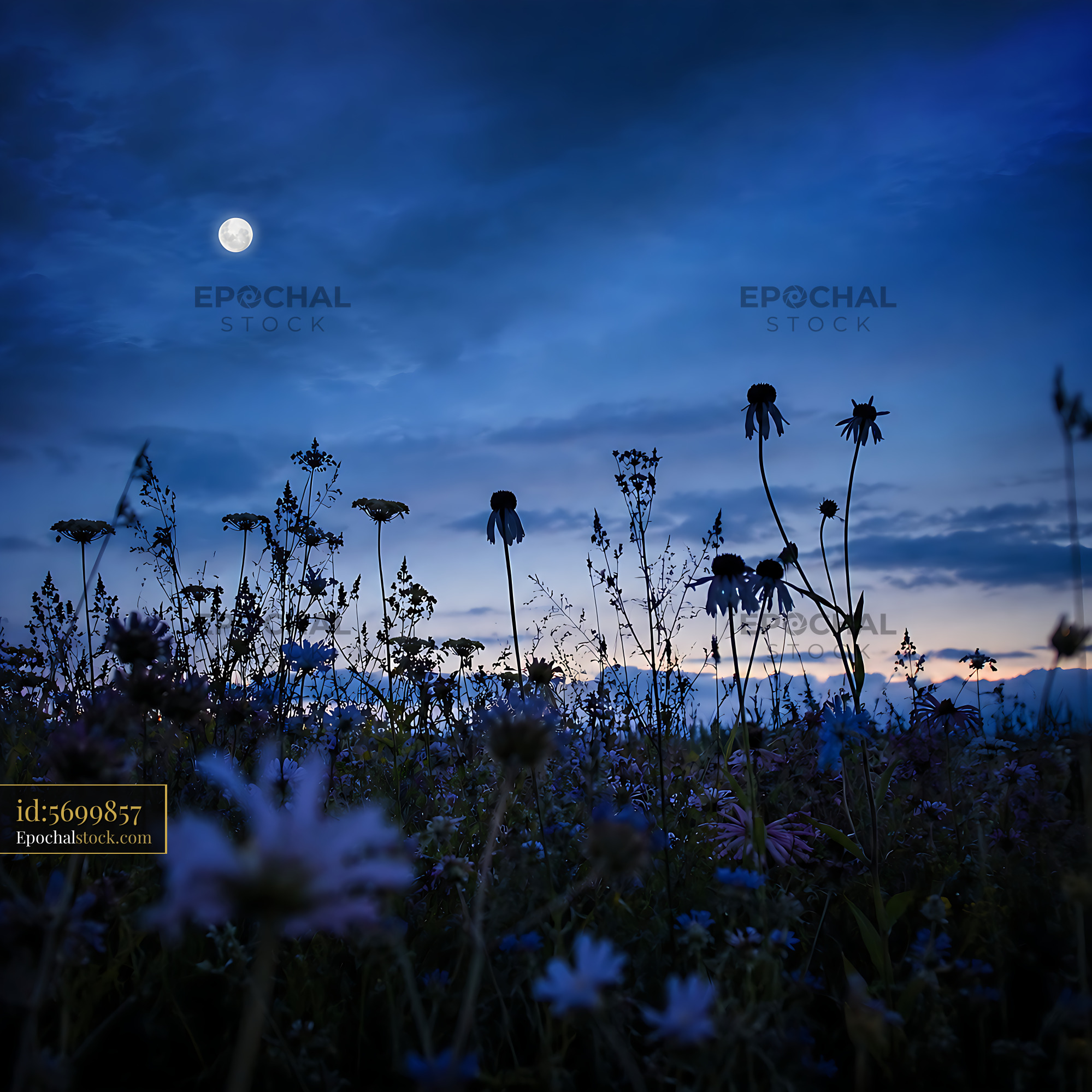 Watermarked full-resolution preview of Flowers under a full moon in a night sky