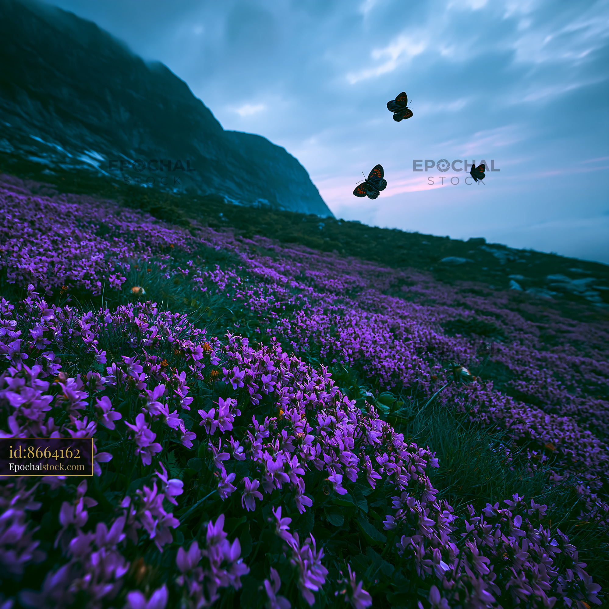 Watermarked full-resolution preview of Butterflies flying over purple flowers on a mountain slope