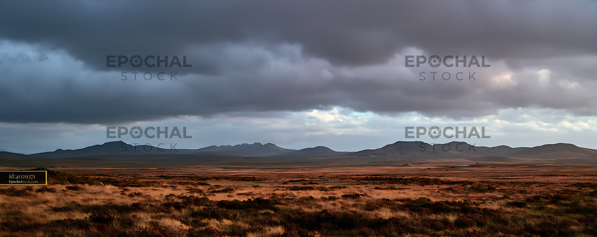 Watermarked full-resolution preview of Panoramic grassland and mountains under storm clouds