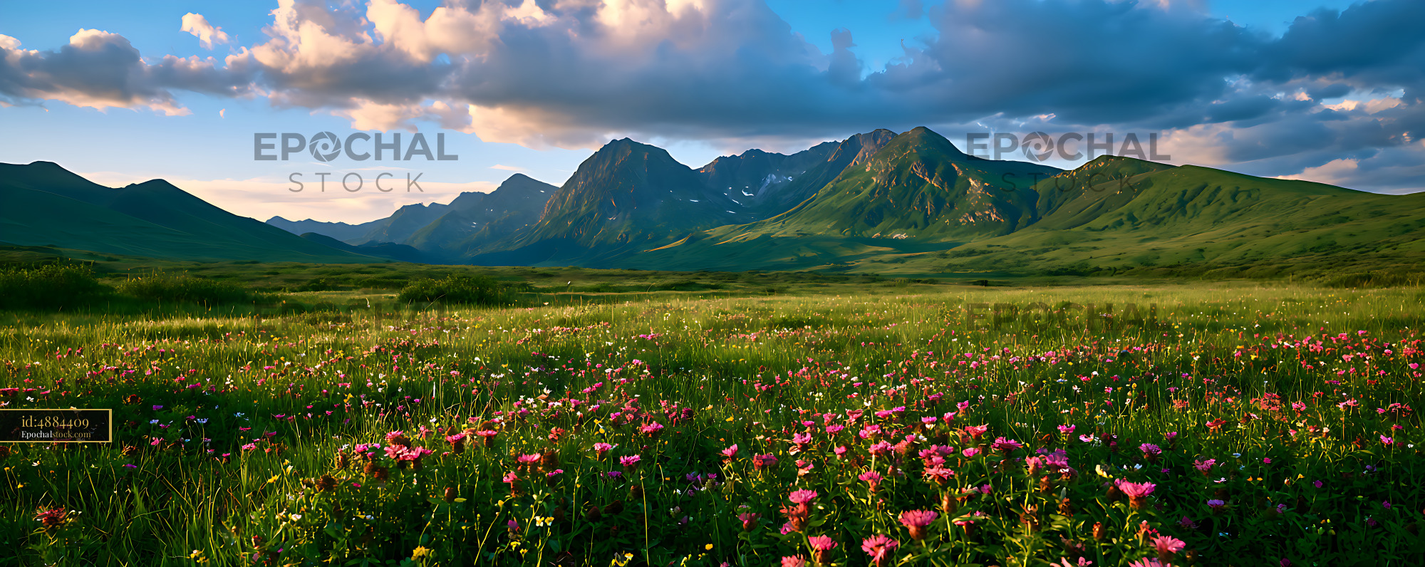 Watermarked full-resolution preview of Colorful alpine meadow with rugged mountains and clouds