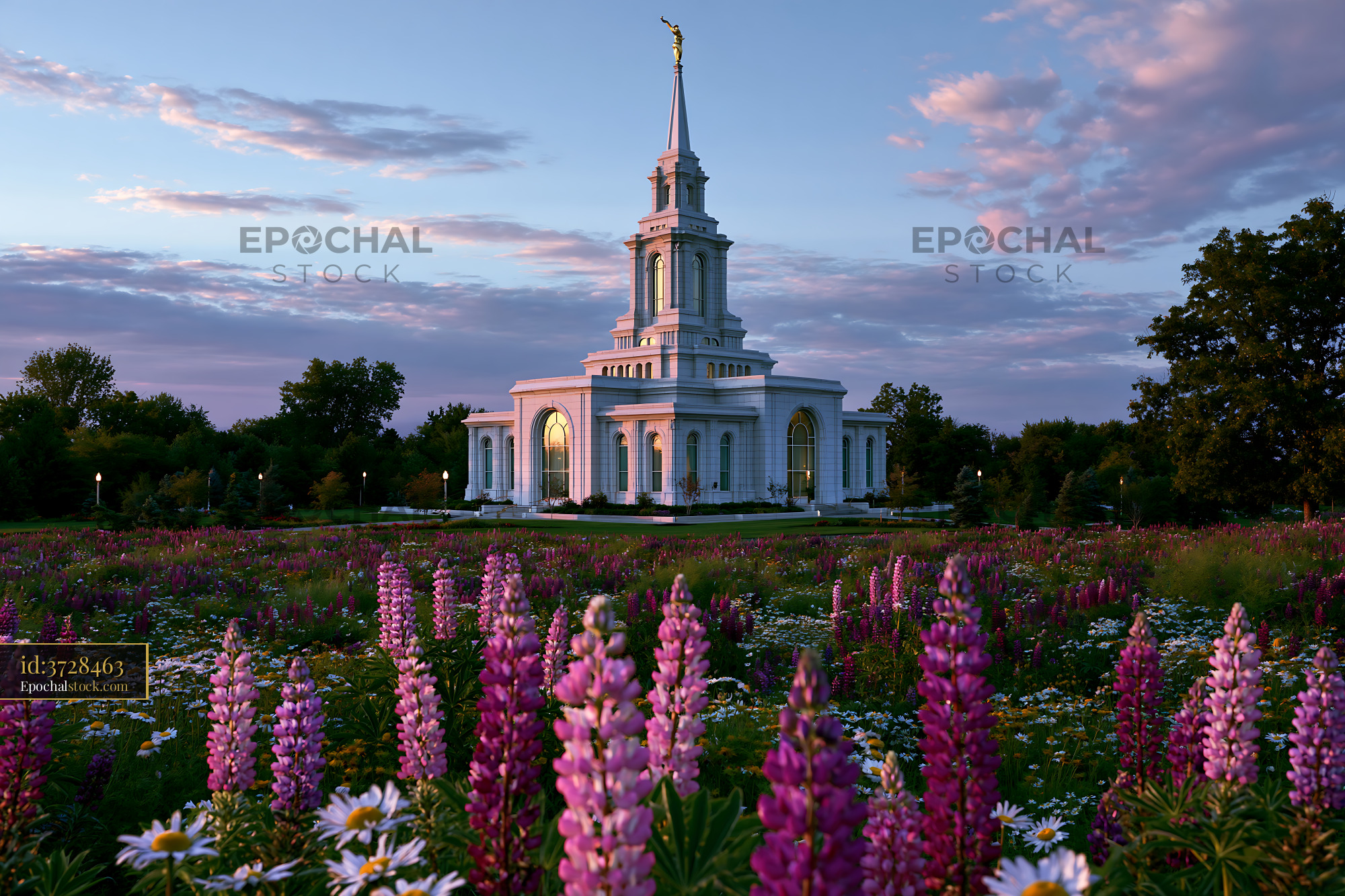Watermarked full-resolution preview of Elegant white temple rising above a flower-filled meadow