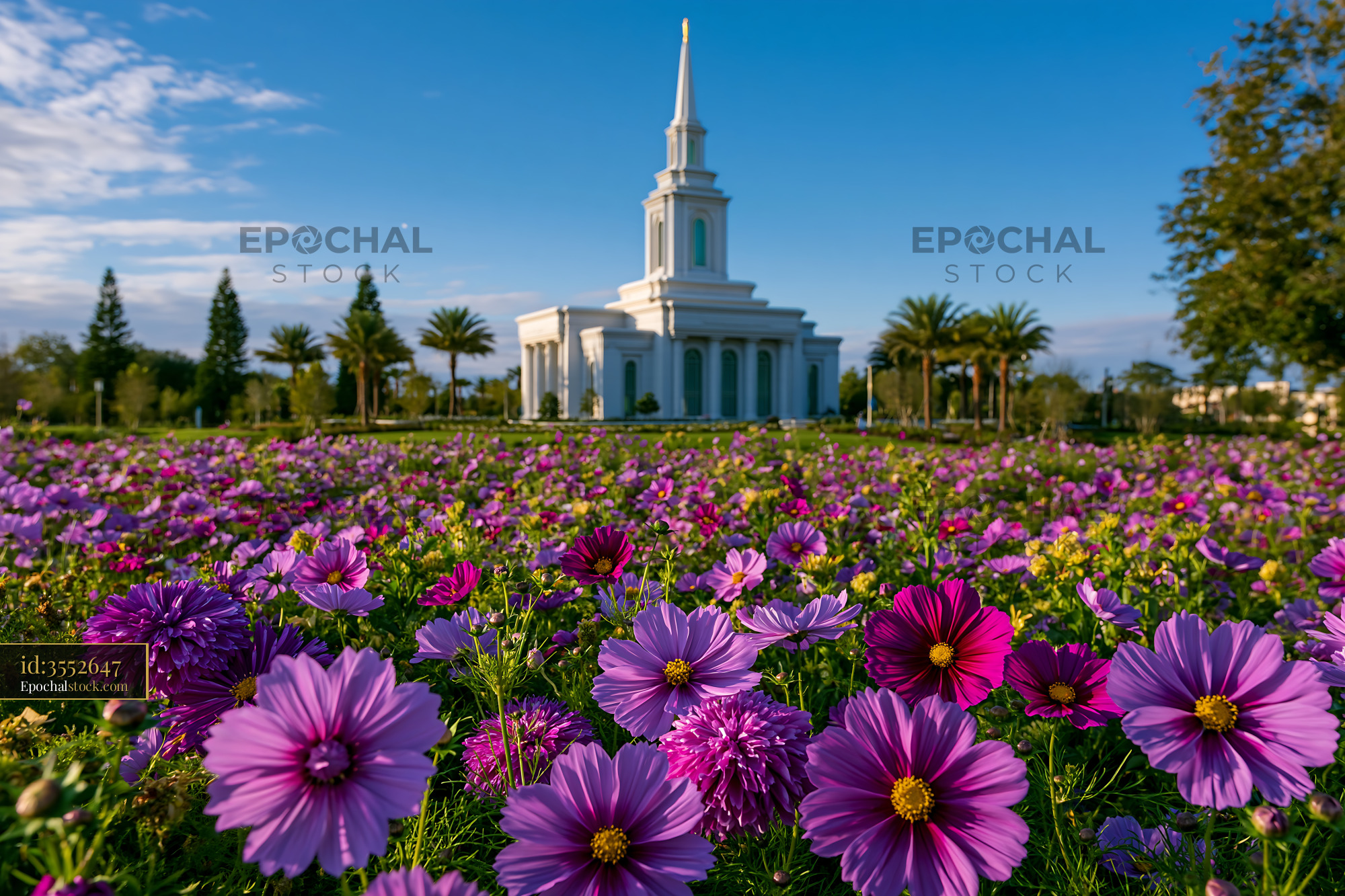 Watermarked full-resolution preview of Colorful flowers in front of a religious building on a clear day