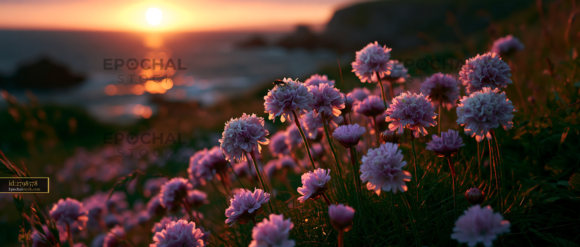 Watermarked full-resolution preview of Sunset over flowers by the sea