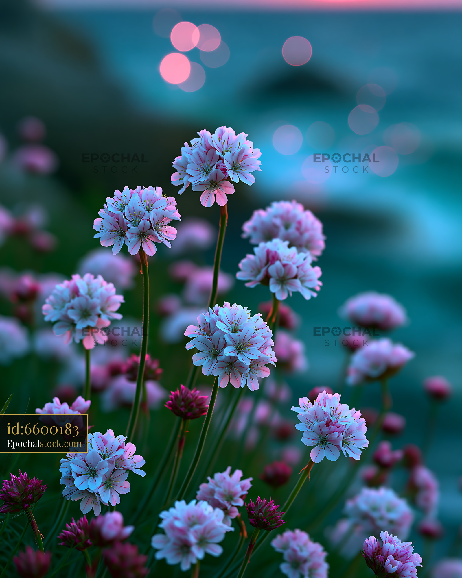 Watermarked full-resolution preview of Flowers blooming by the shore at sunset
