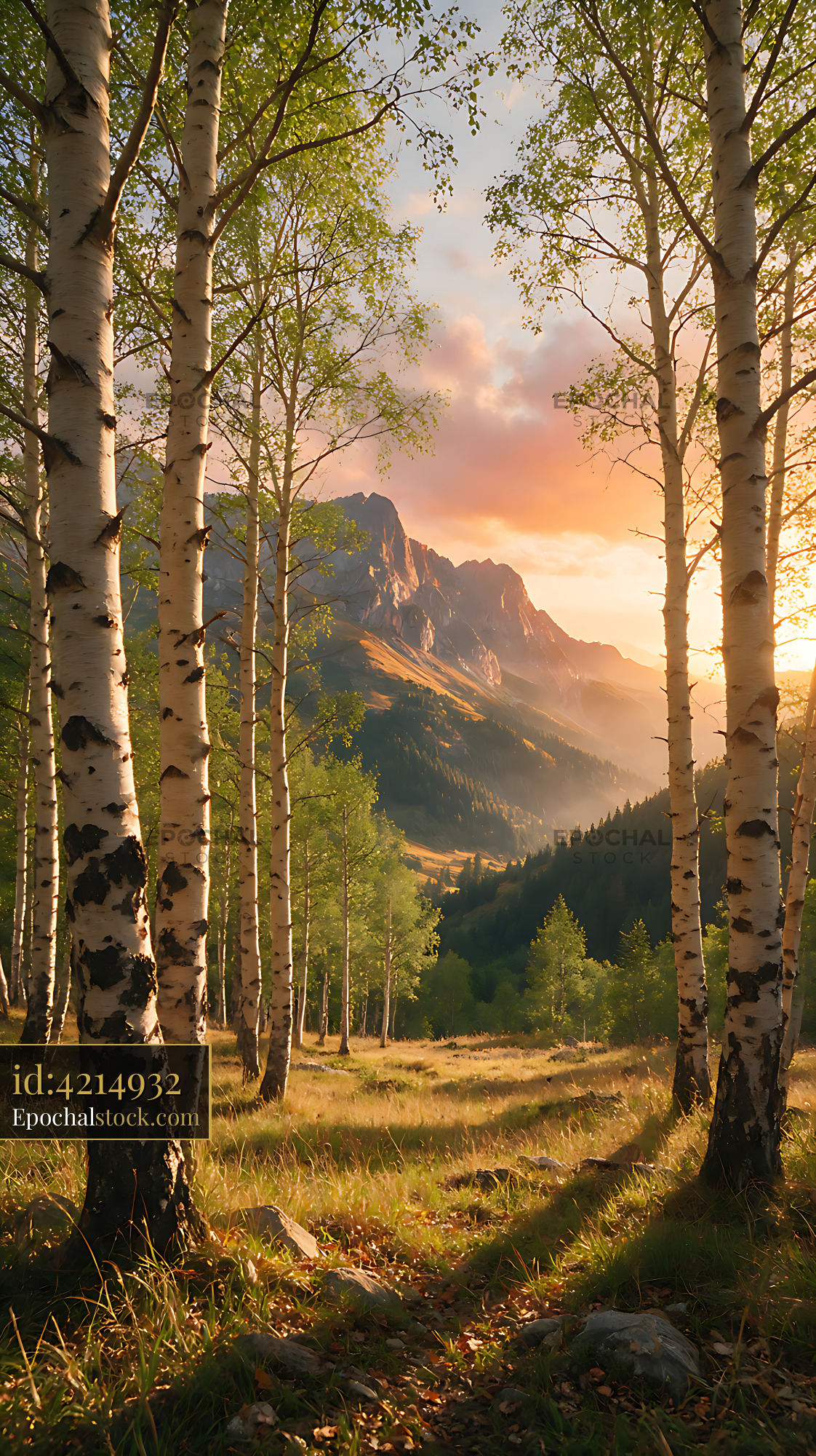 Watermarked full-resolution preview of Sunlit birch trees and dramatic mountain landscape