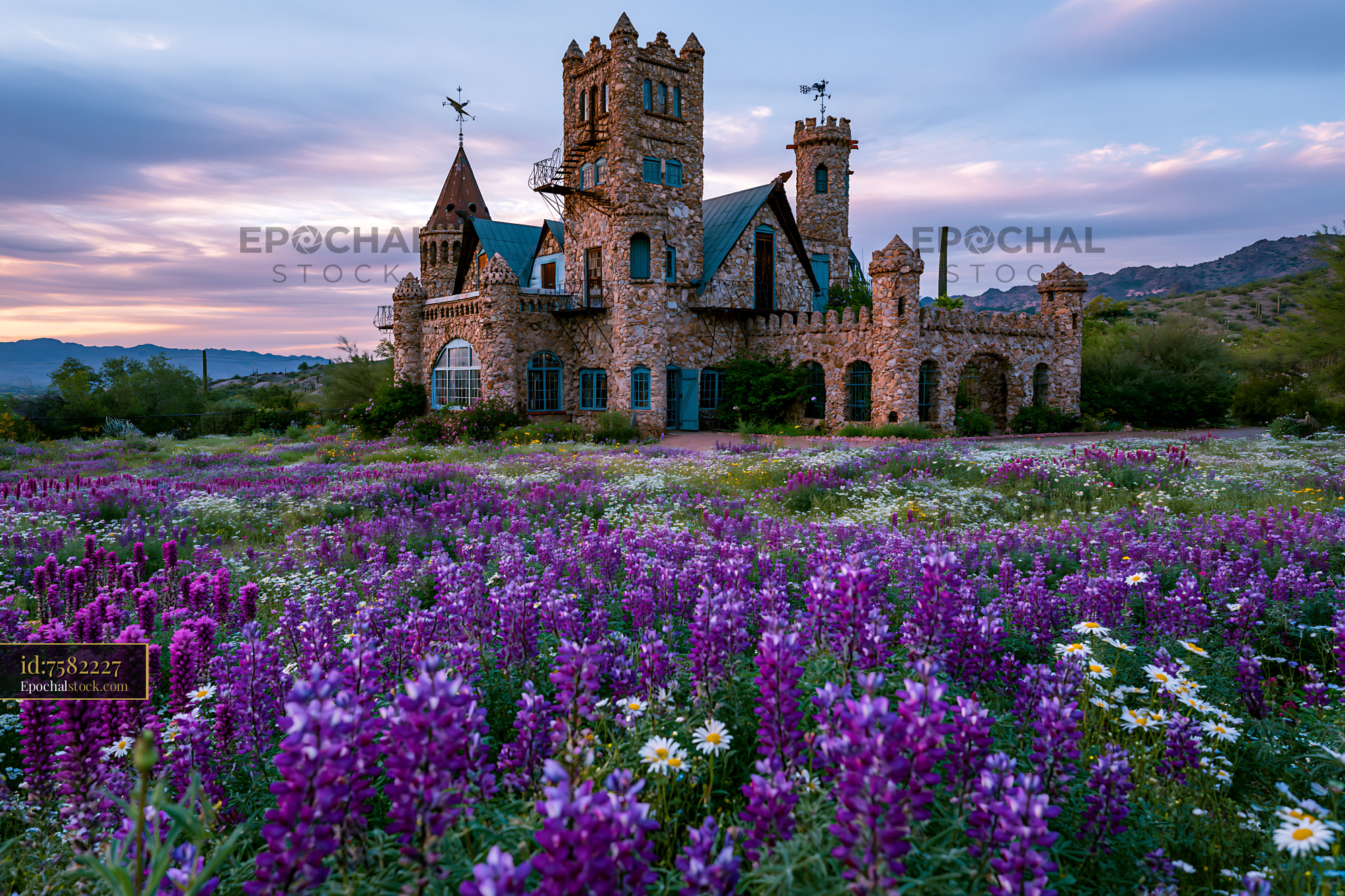 Watermarked full-resolution preview of Castle surrounded by purple flowers at sunset in a rural area