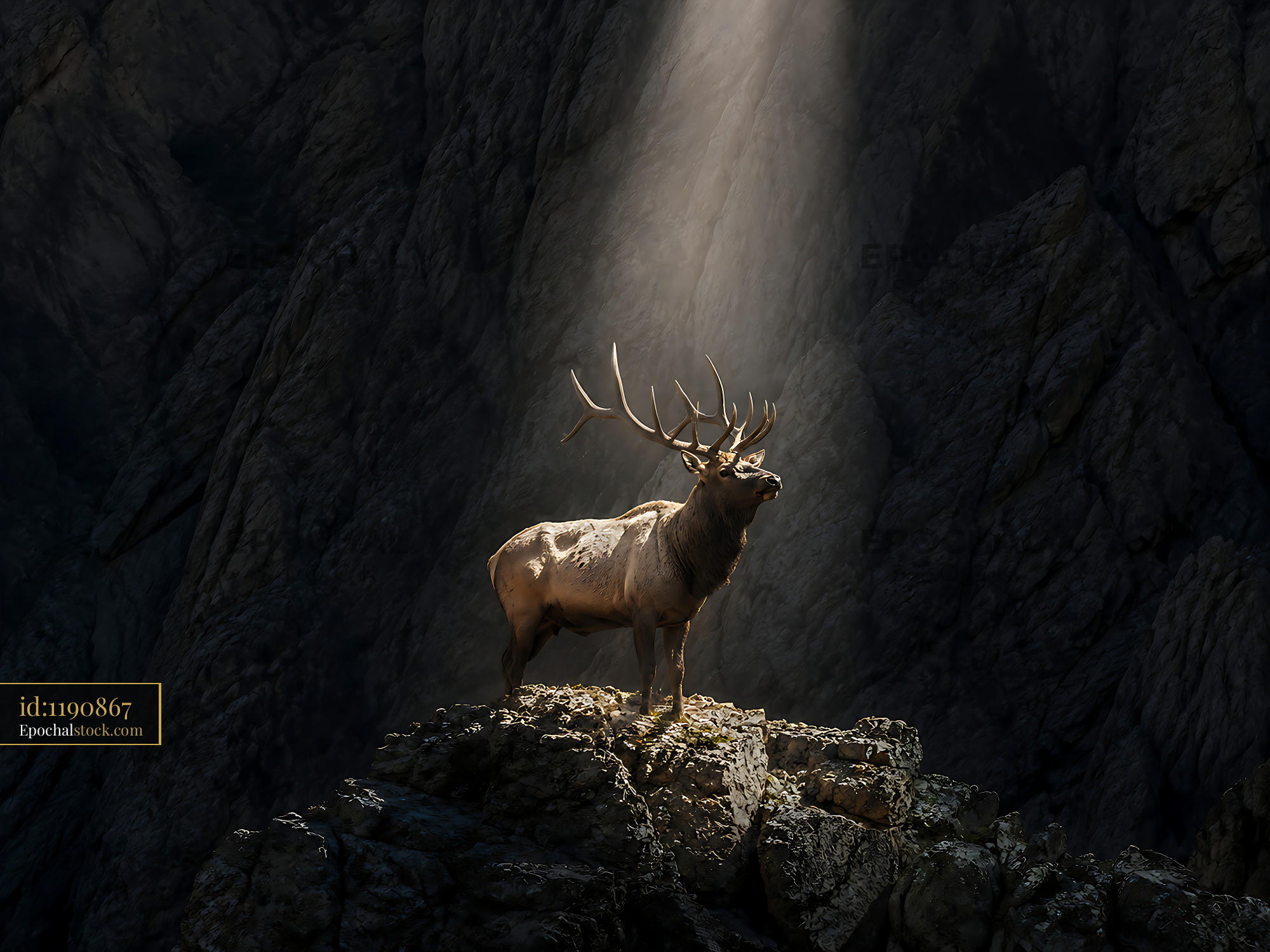 Watermarked full-resolution preview of Elk standing tall on rock with sunlight shining down