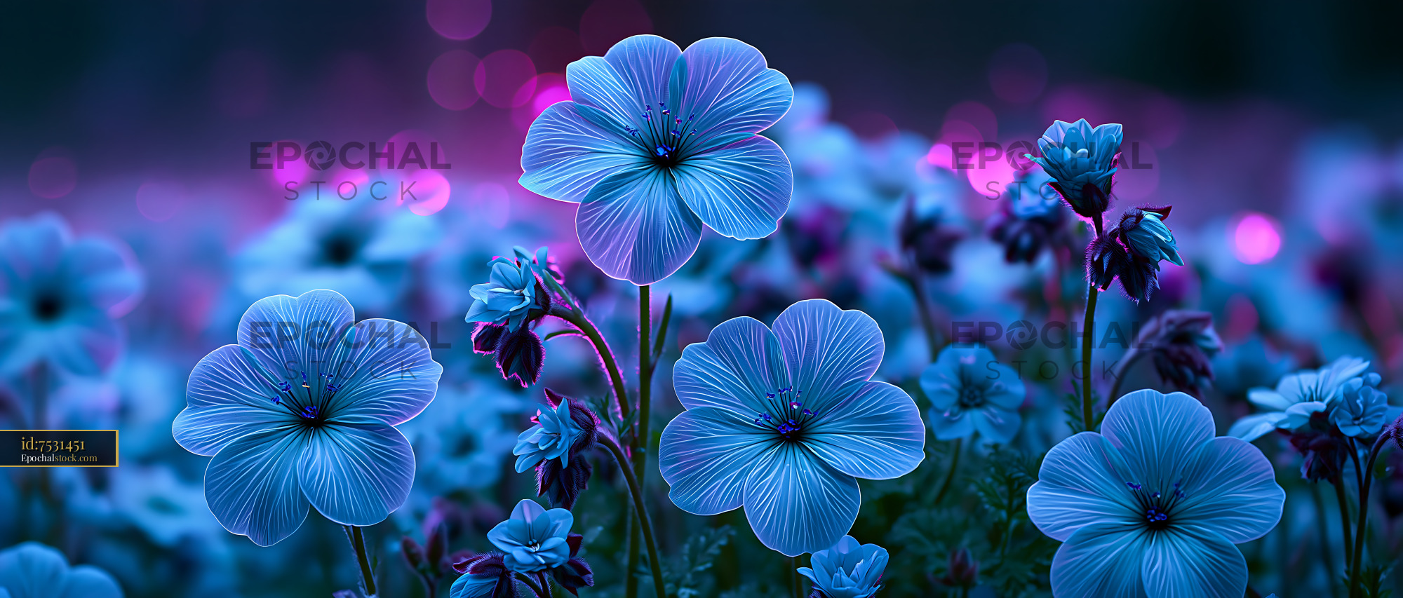 Watermarked full-resolution preview of Colorful flowers in a dark landscape with vivid bokeh lights