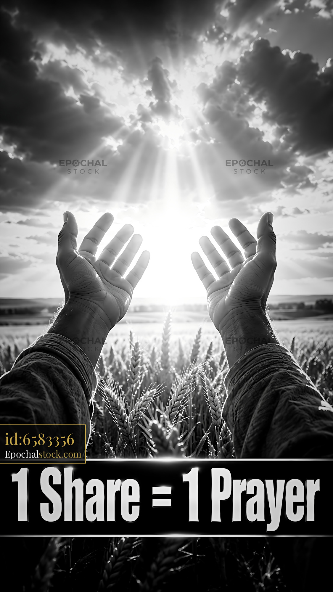 Watermarked full-resolution preview of Hands raised towards the sunlight in a field