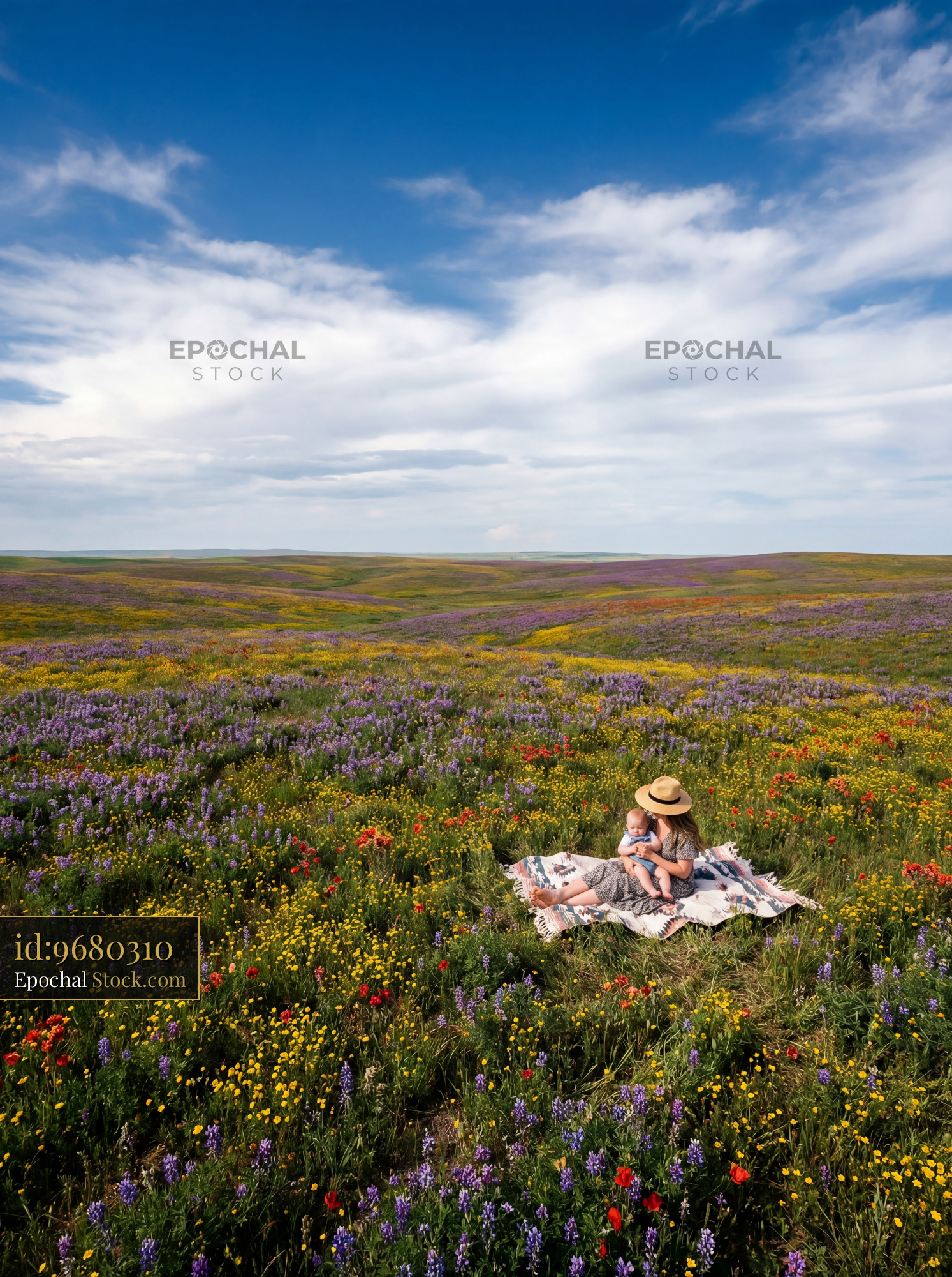 Woman sits on blanket in flower field during daytime hours - stock photo