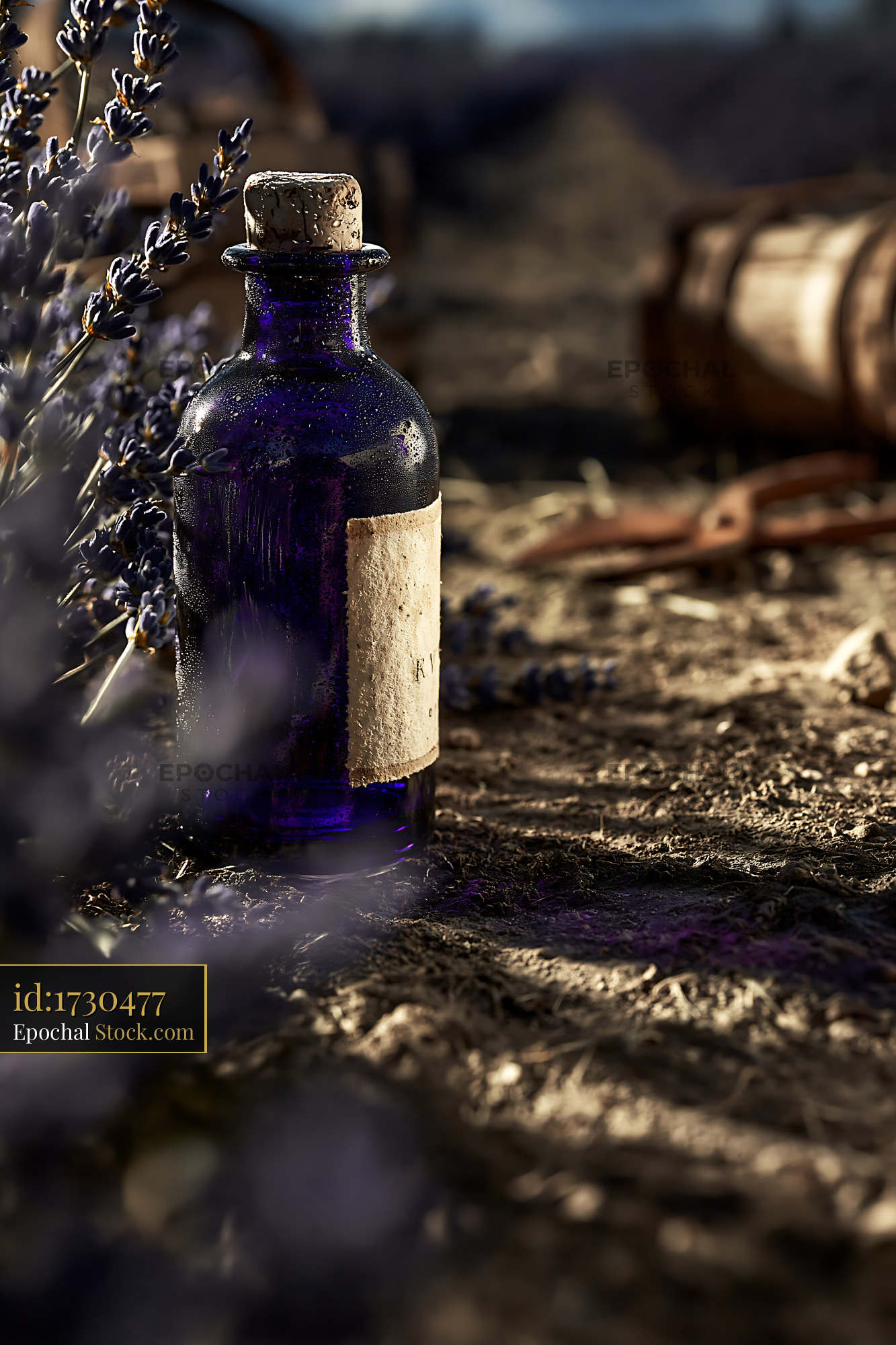 Vintage lavender essential oil bottle in a field at golden hour - stock photo