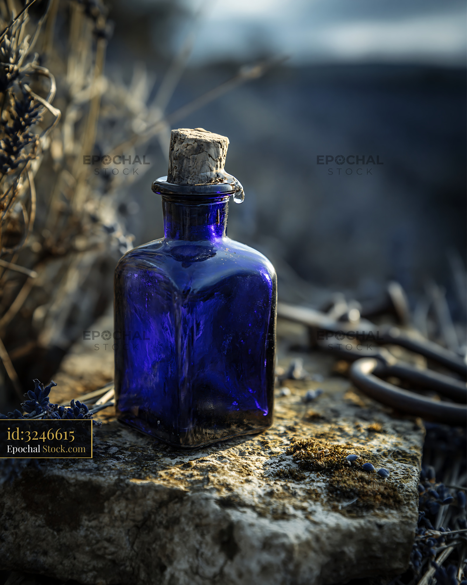 Vintage blue glass bottle with cork stopper on mossy stone