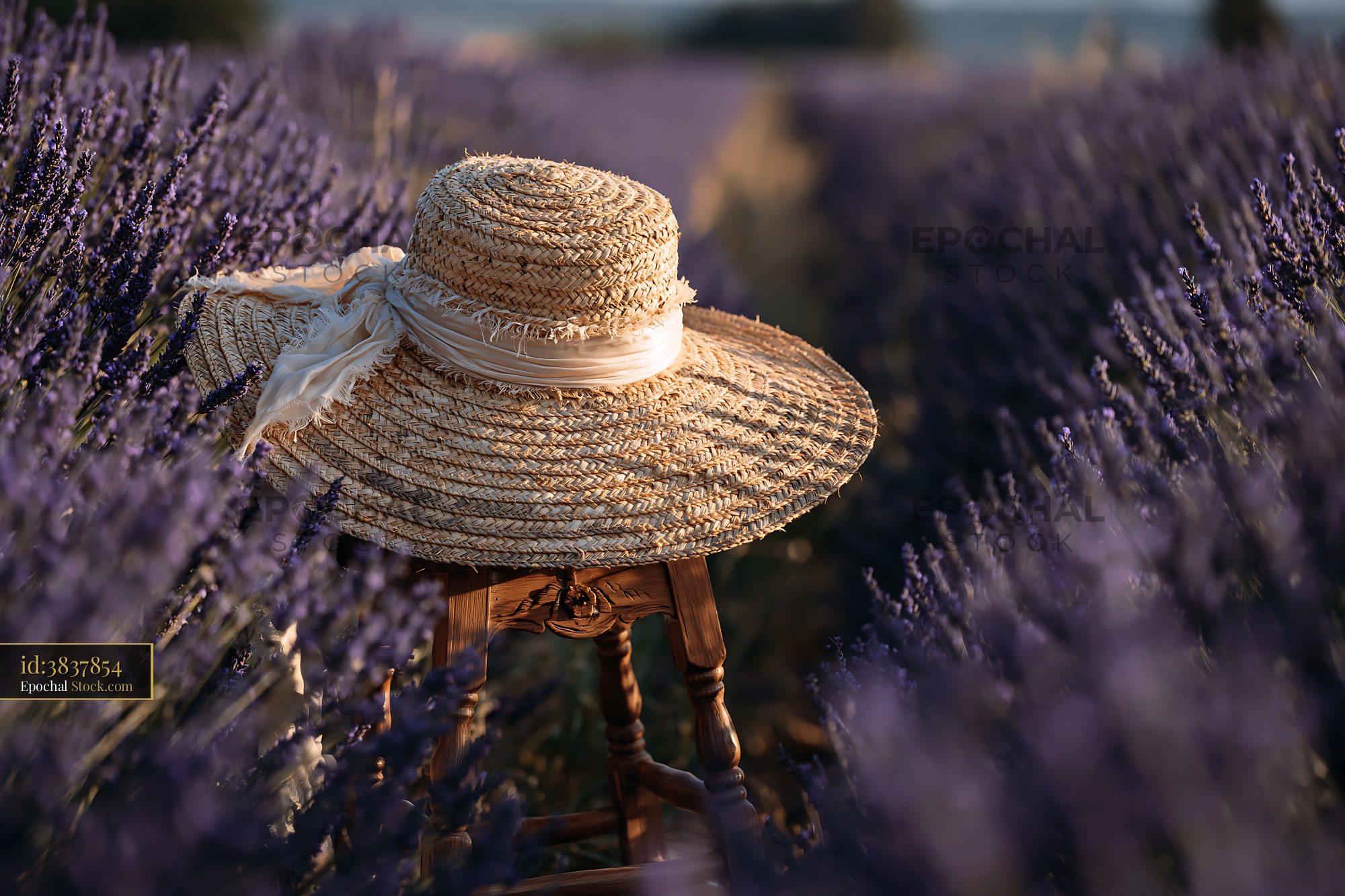 Straw hat on a vintage stool in a lavender field at sunset