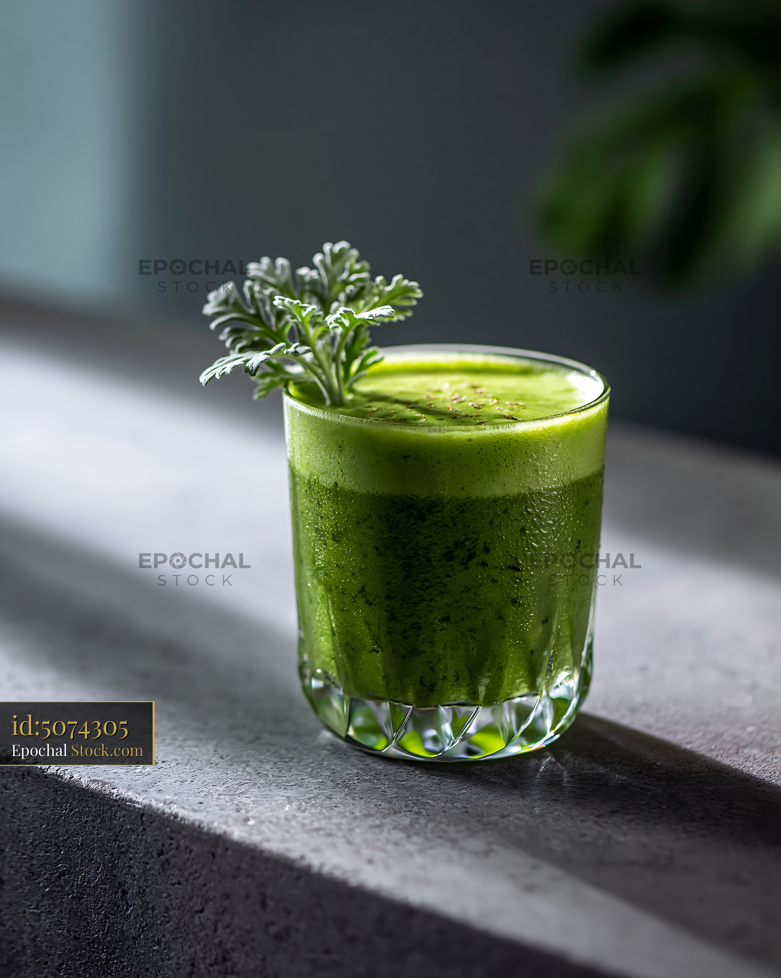 Green mugwort herb smoothie garnished with fresh leaves on stone - stock photo
