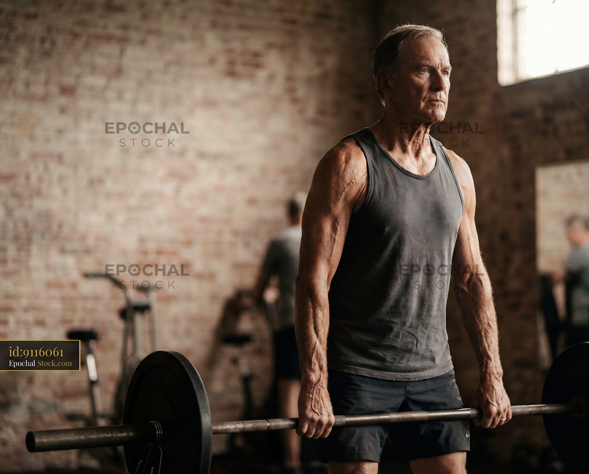 Senior man lifts weights in gym during training session Premium Stock Image - stock photo