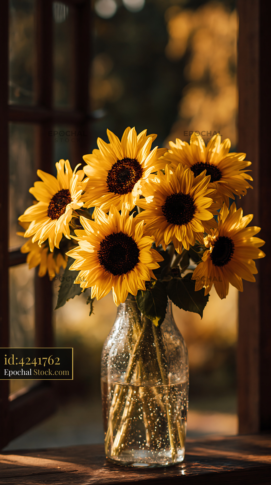 Sunflowers in a glass vase on a wooden windowsill in golden light - stock photo