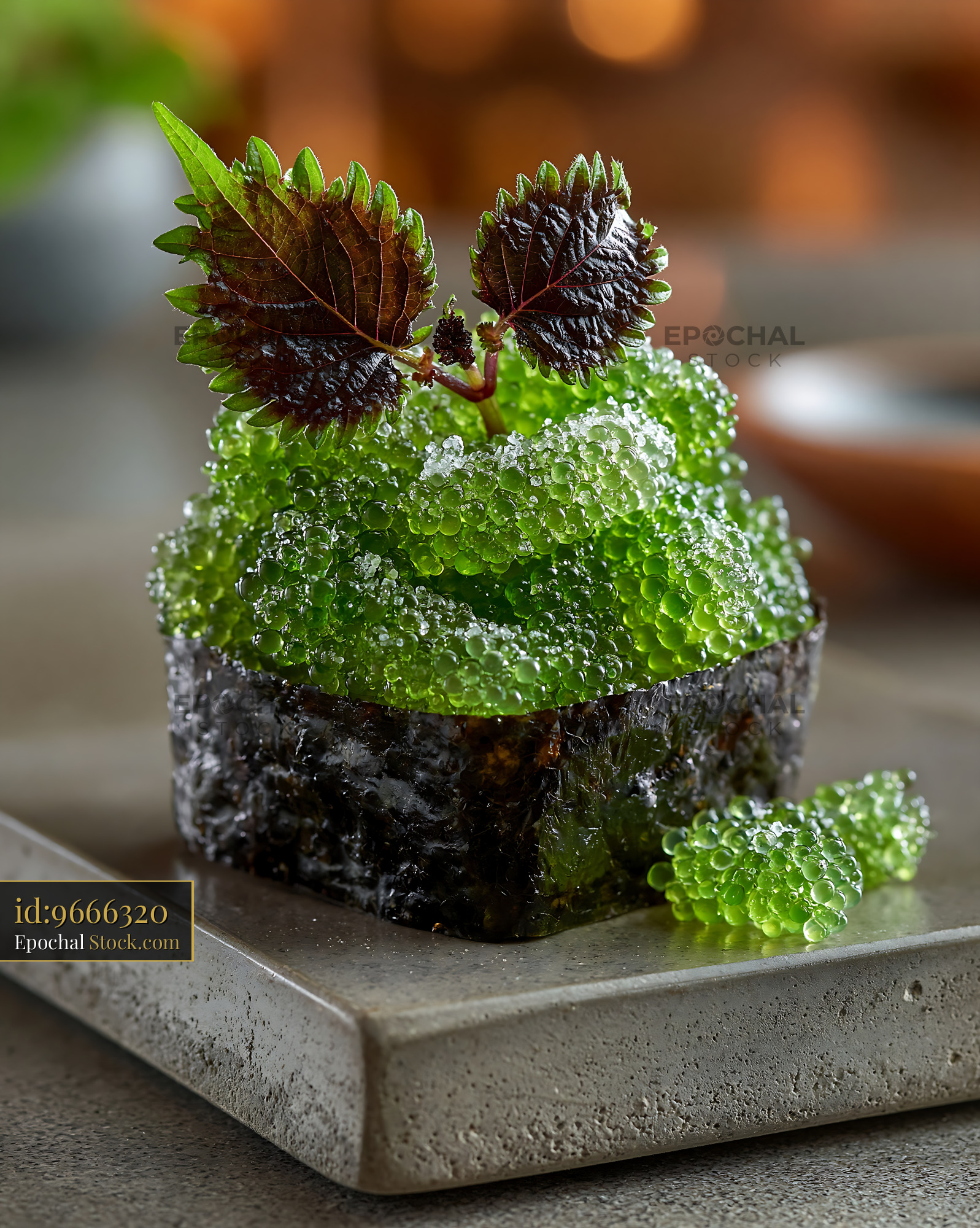 Fresh umi budo sushi with green sea grapes and shiso on a stone plate - stock photo