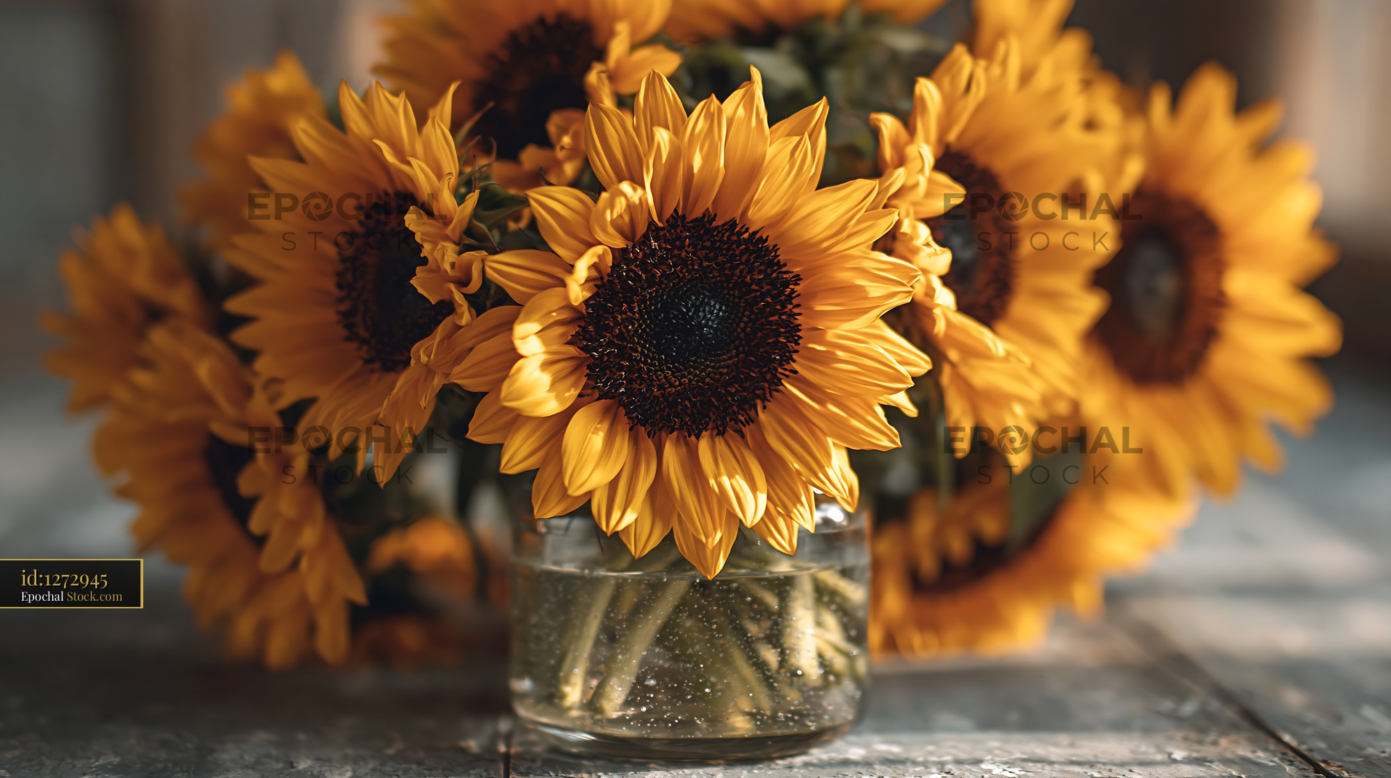 Sunflower bouquet in glass vase on rustic wooden table in warm light - stock photo