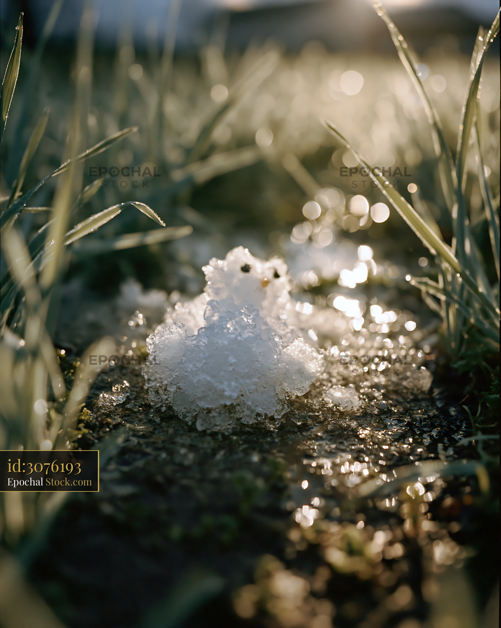 Melting tiny snowman in green grass during a sunny spring morning - stock photo