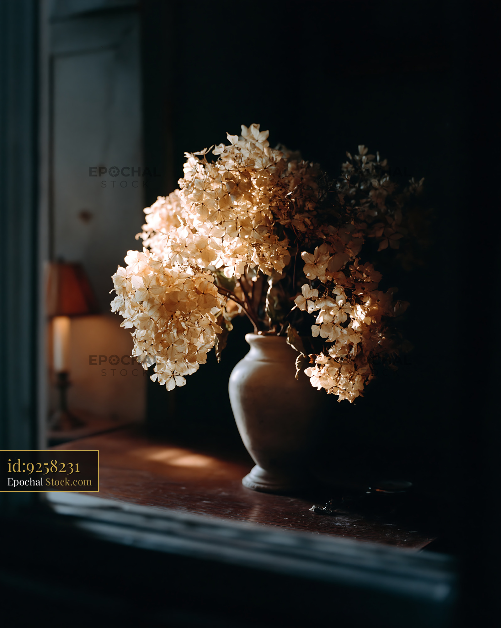 Dried hydrangea bouquet in a vase on a wooden table in winter light - stock photo