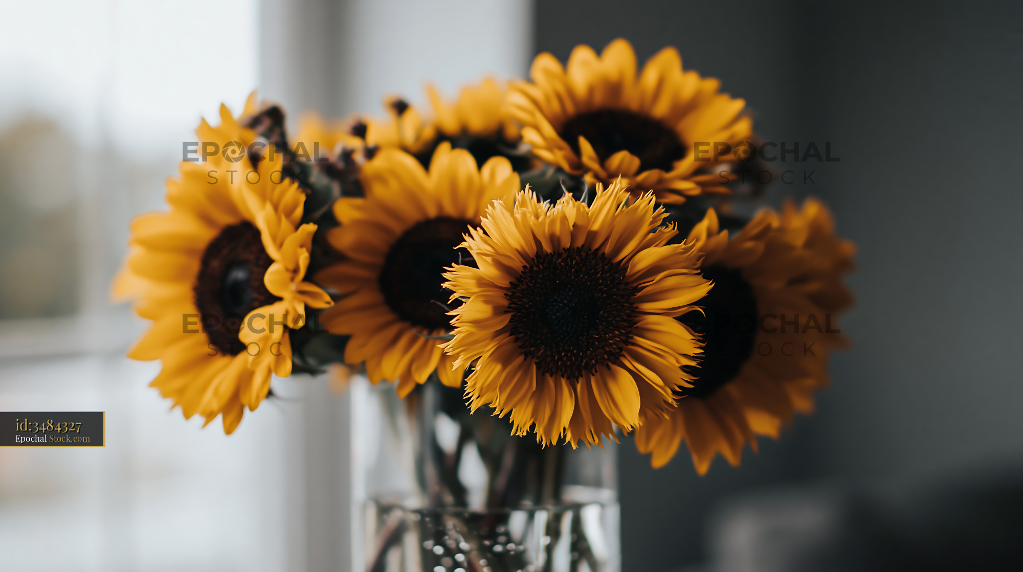Vibrant sunflower bouquet in a glass vase near a bright window - stock photo
