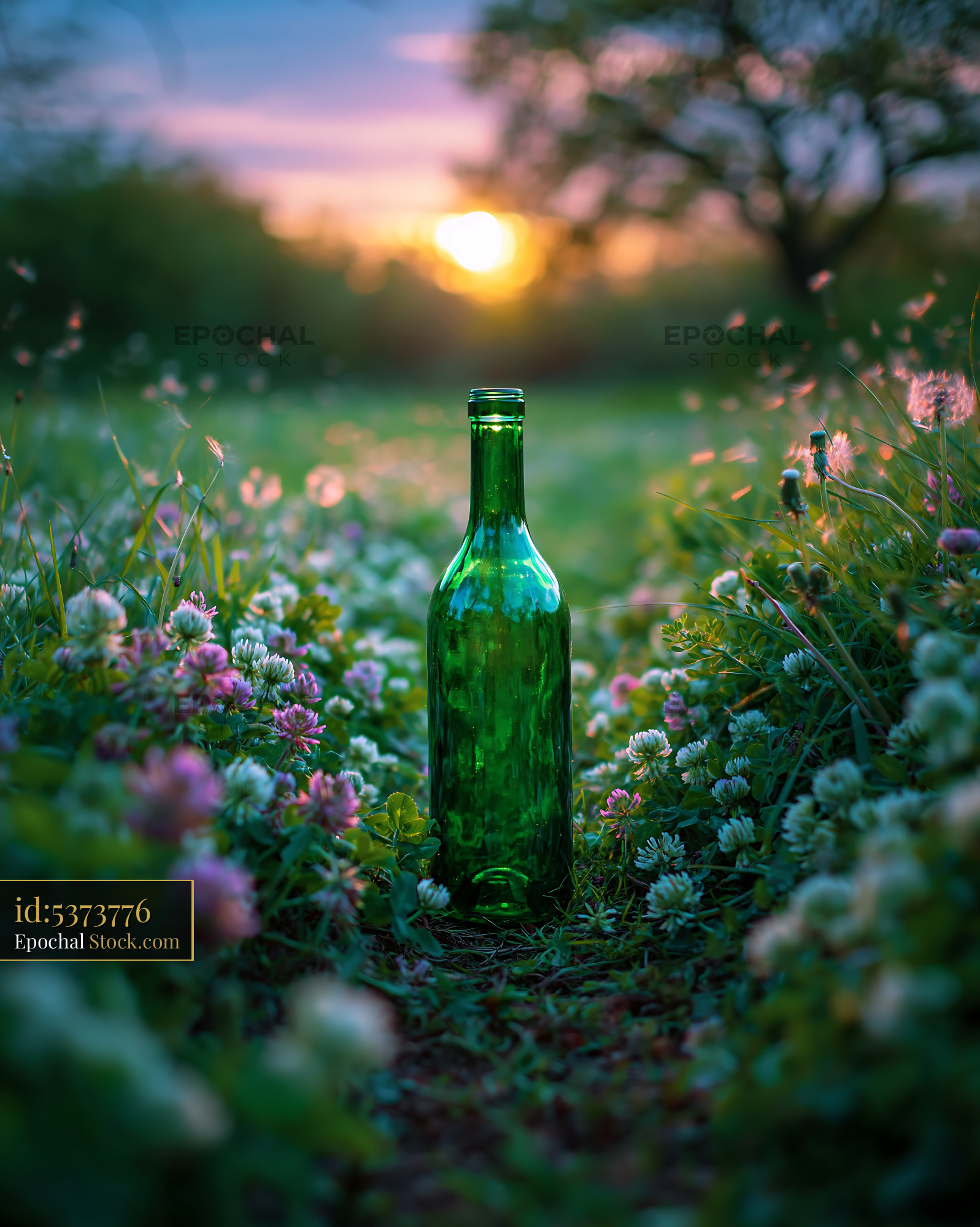 Green wine bottle standing in a flowering meadow at sunset - stock photo
