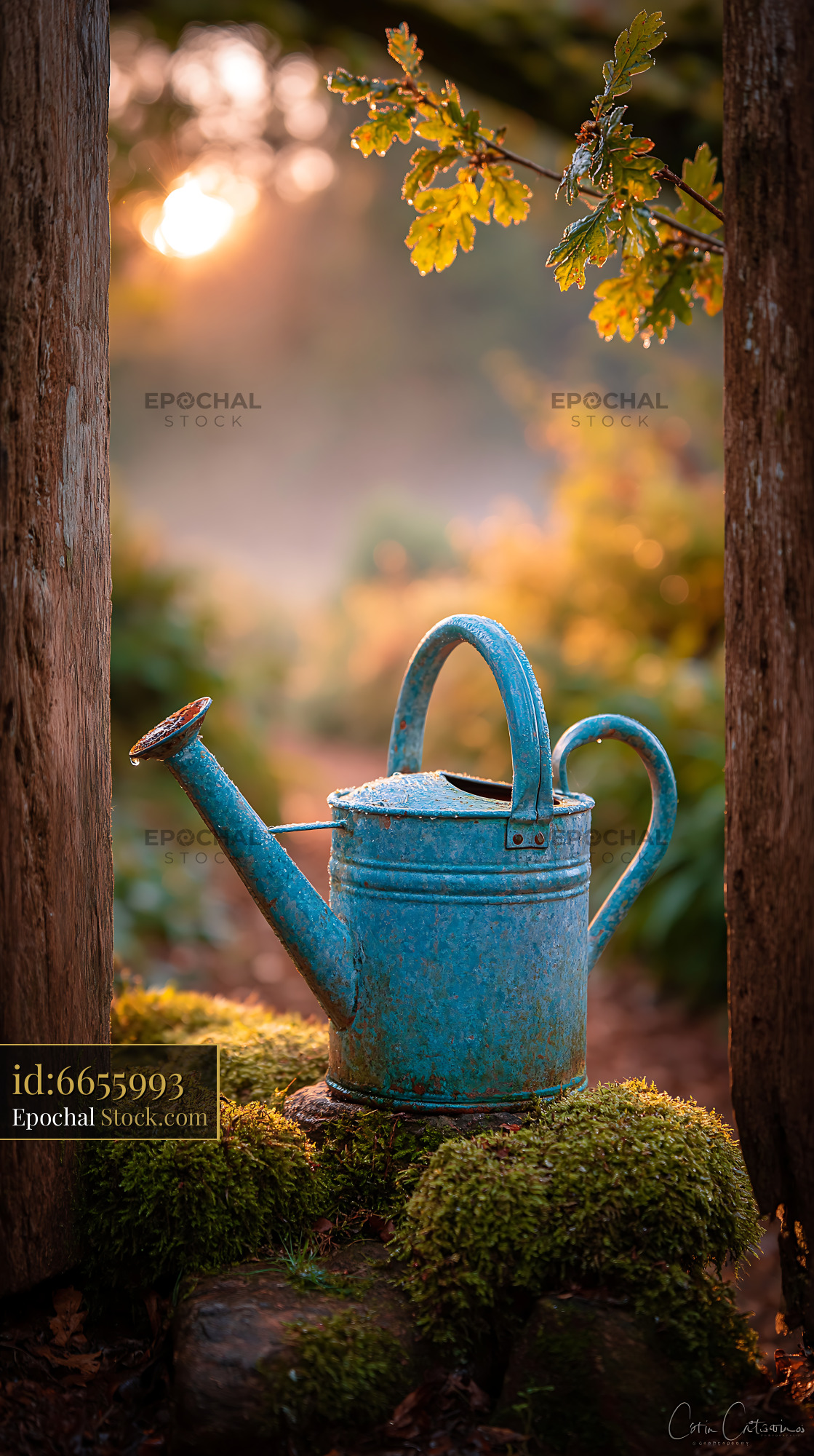 Vintage blue watering can on mossy rocks in a misty garden at sunrise - stock photo